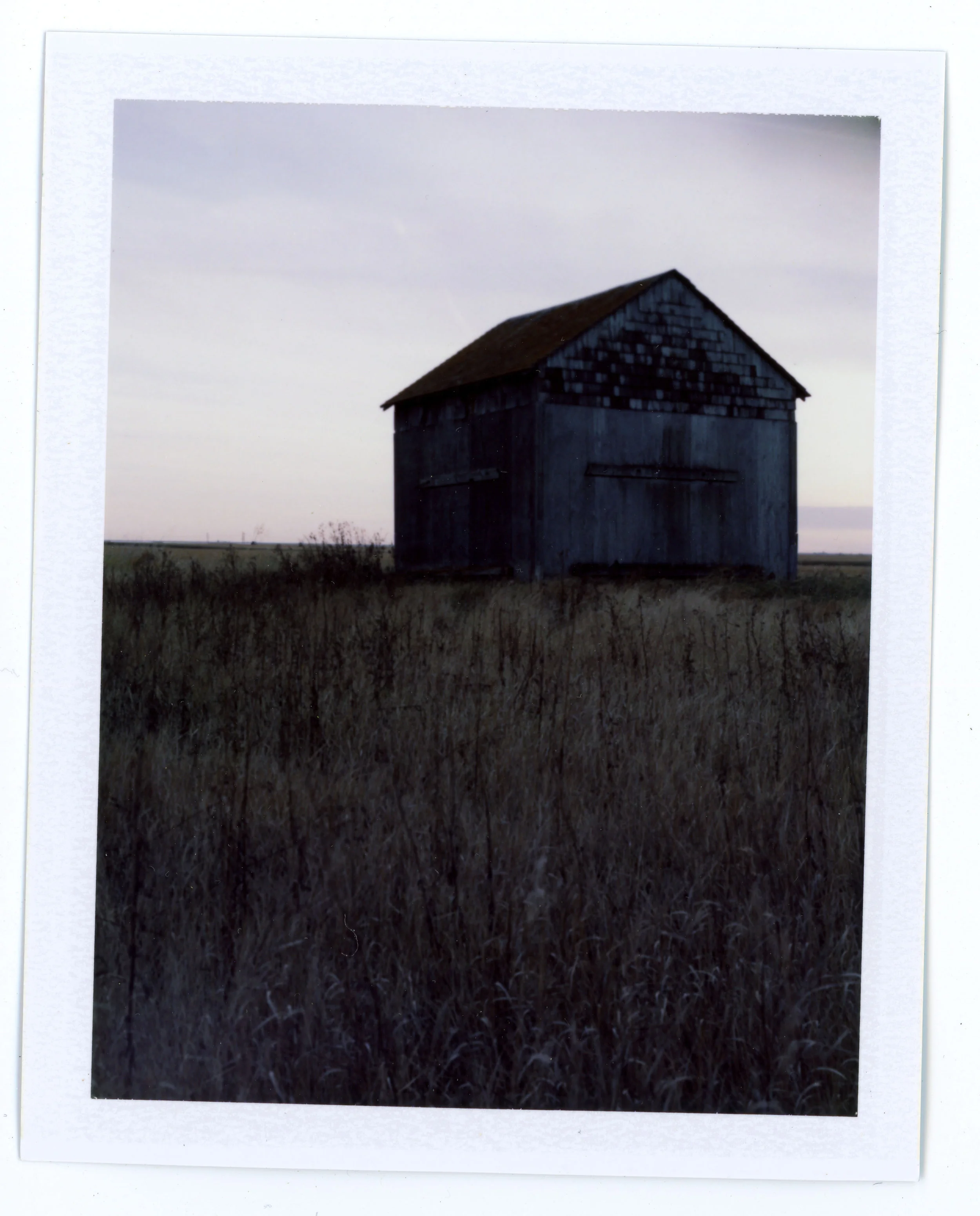 Fuji FP-100C with Intrepid Camera and Nikon W 150 f/5.6