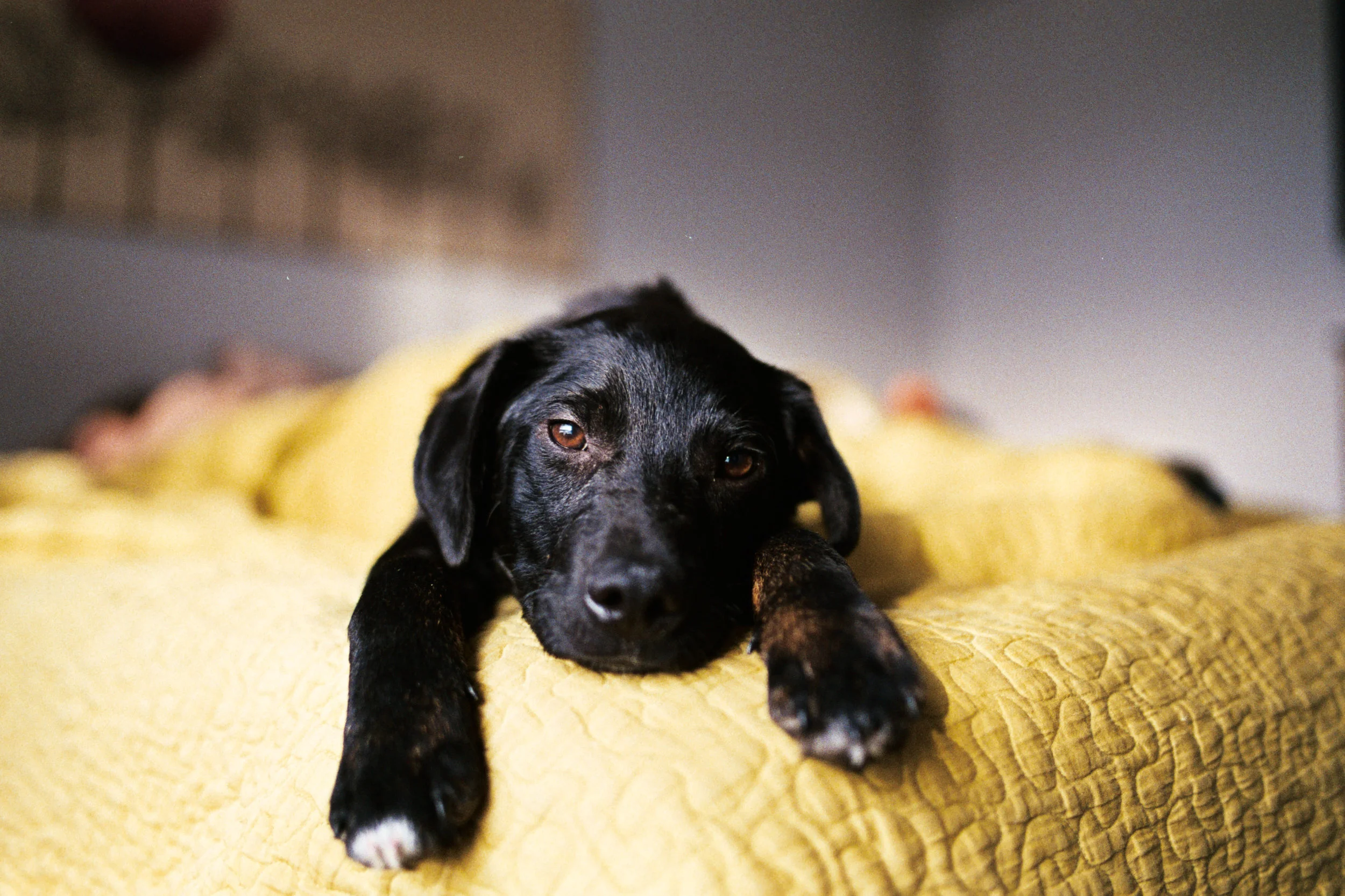 Benson | Canon Elan II - AGFA Vista Plus 200