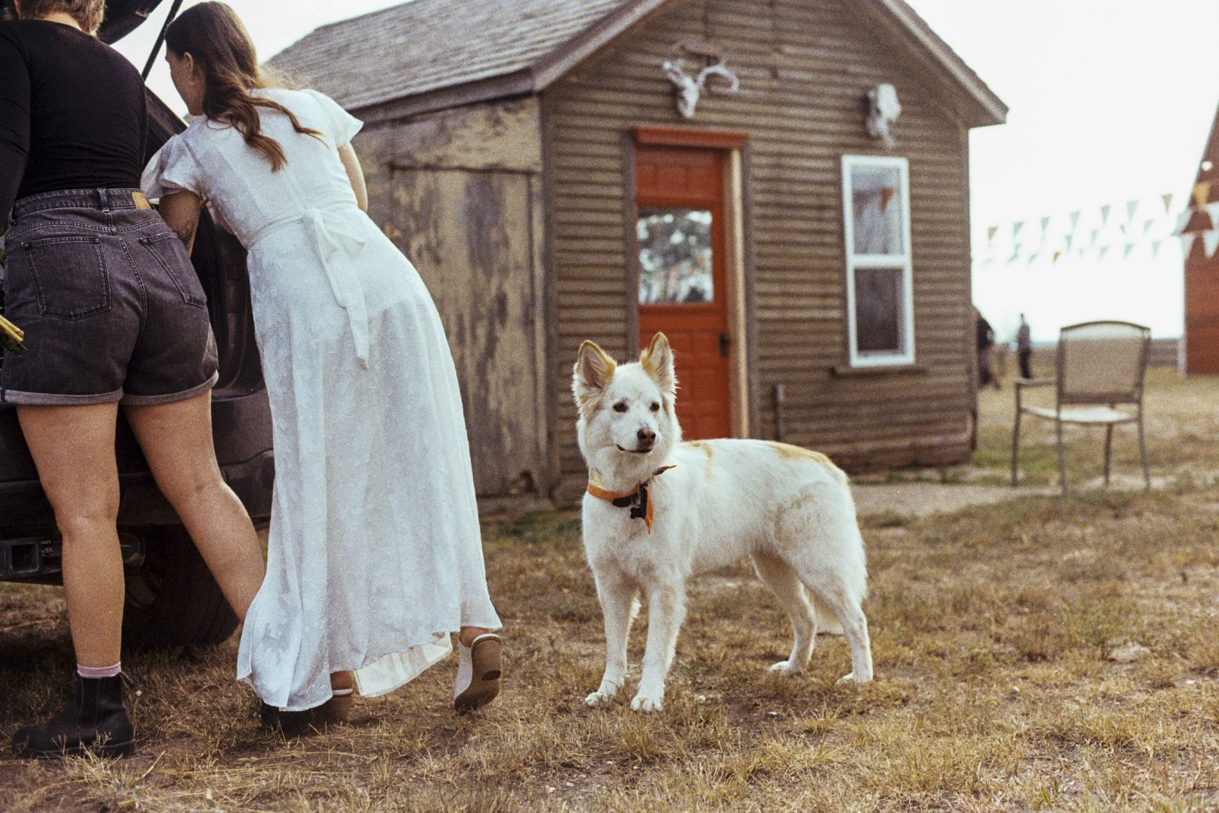 [1355] Nikon FM2 - Kodak GOLD 200__011_1_1.jpg