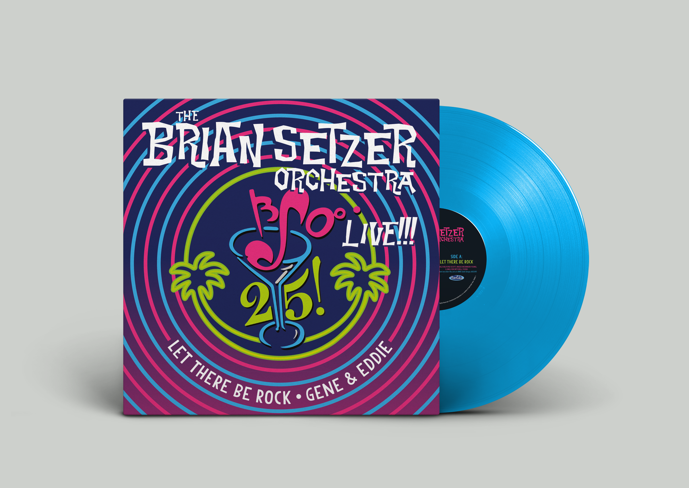 BSOVinyl Record PSD MockUp.png