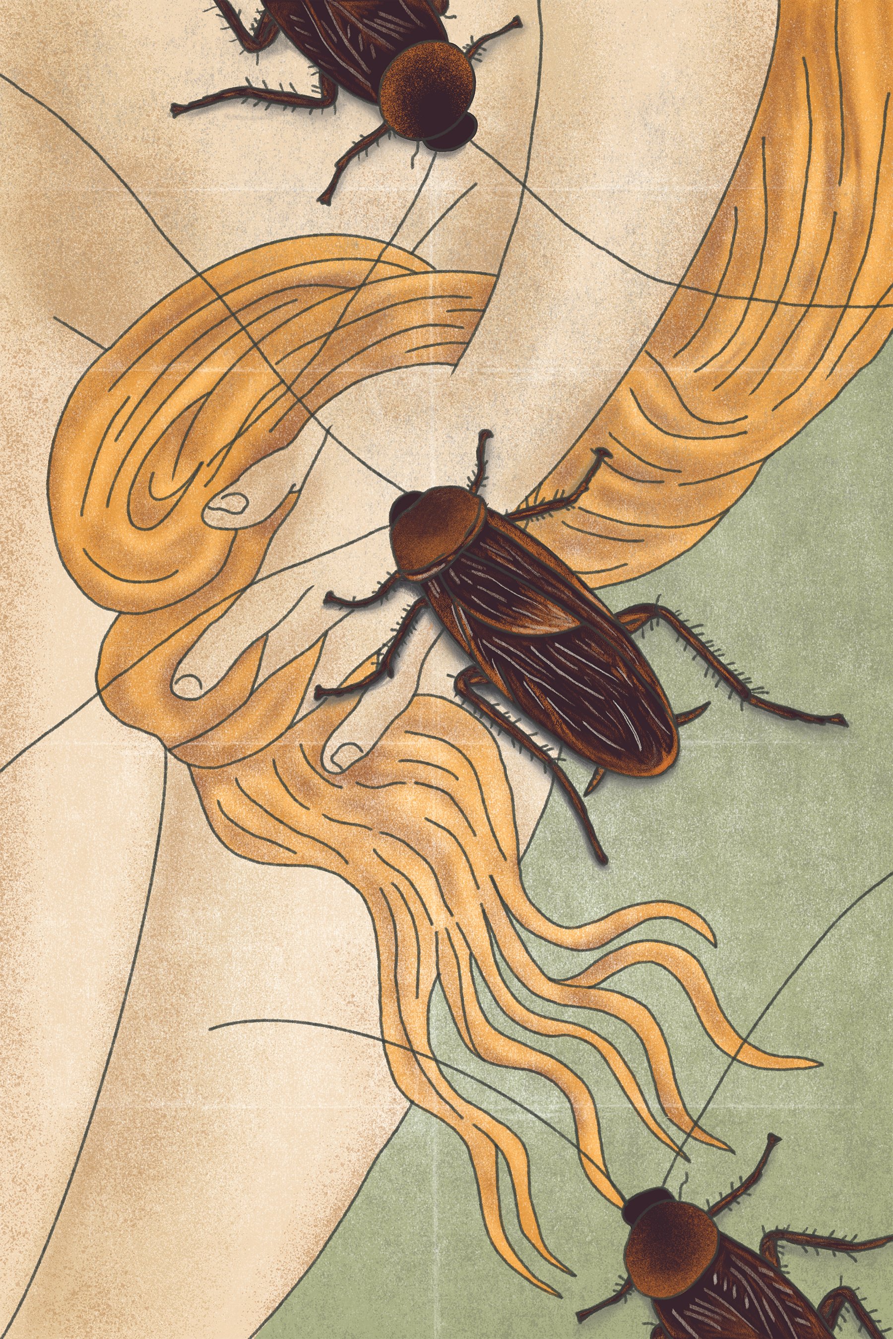 Cockroach_.jpg