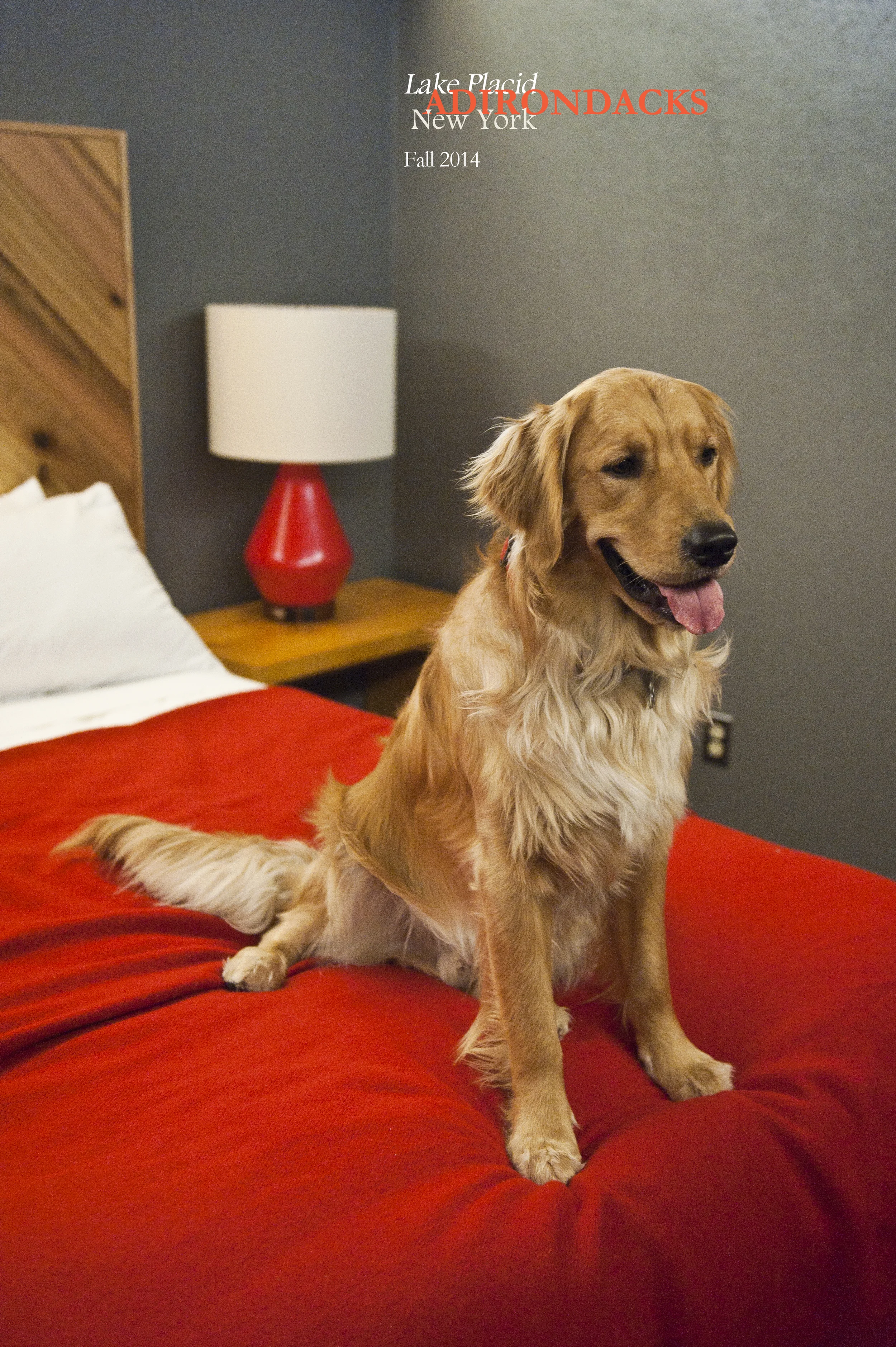 Little Green 2014 001.JPG