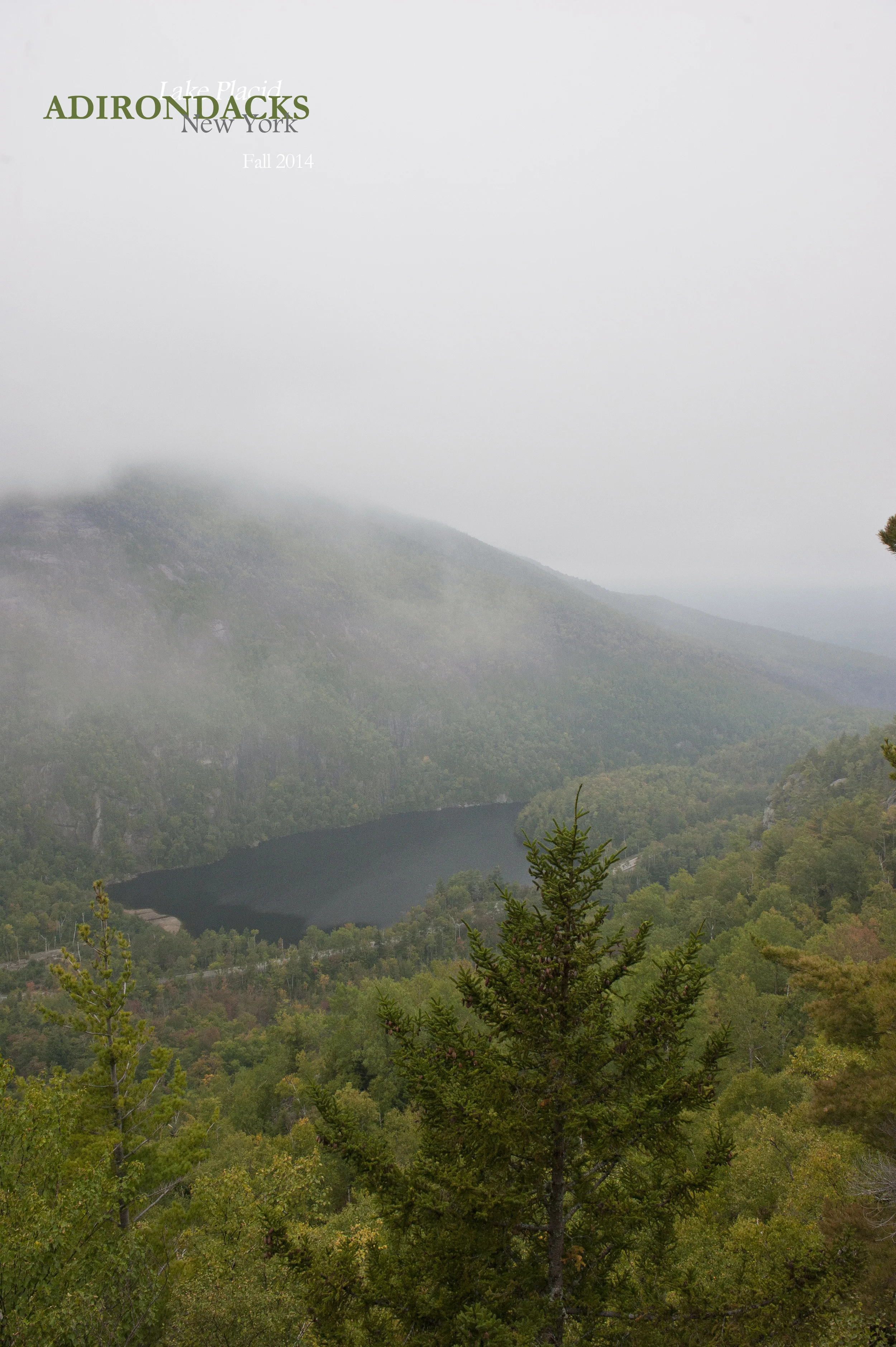 Little Green 2014 004.JPG