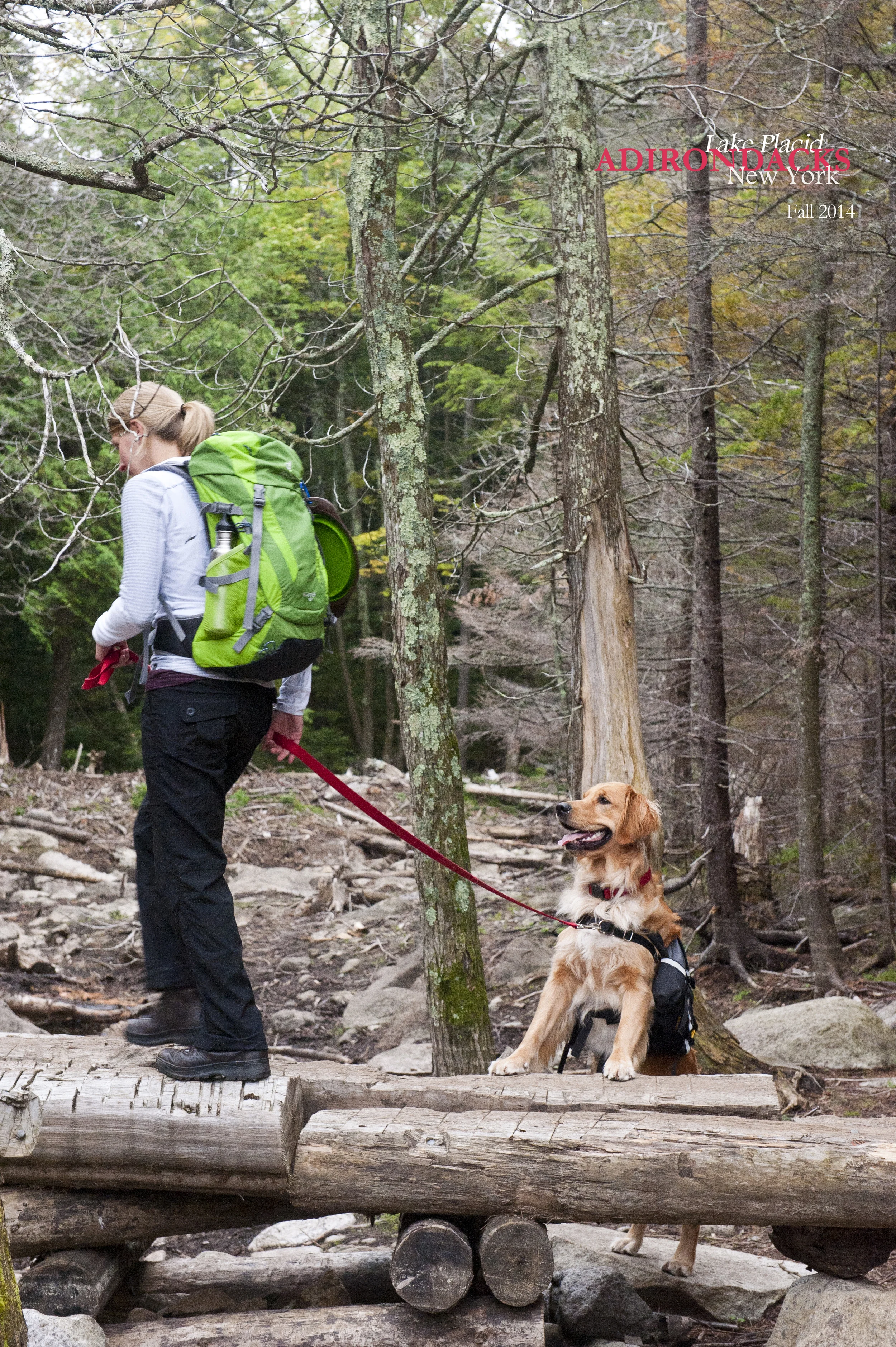 Little Green 2014 009.JPG