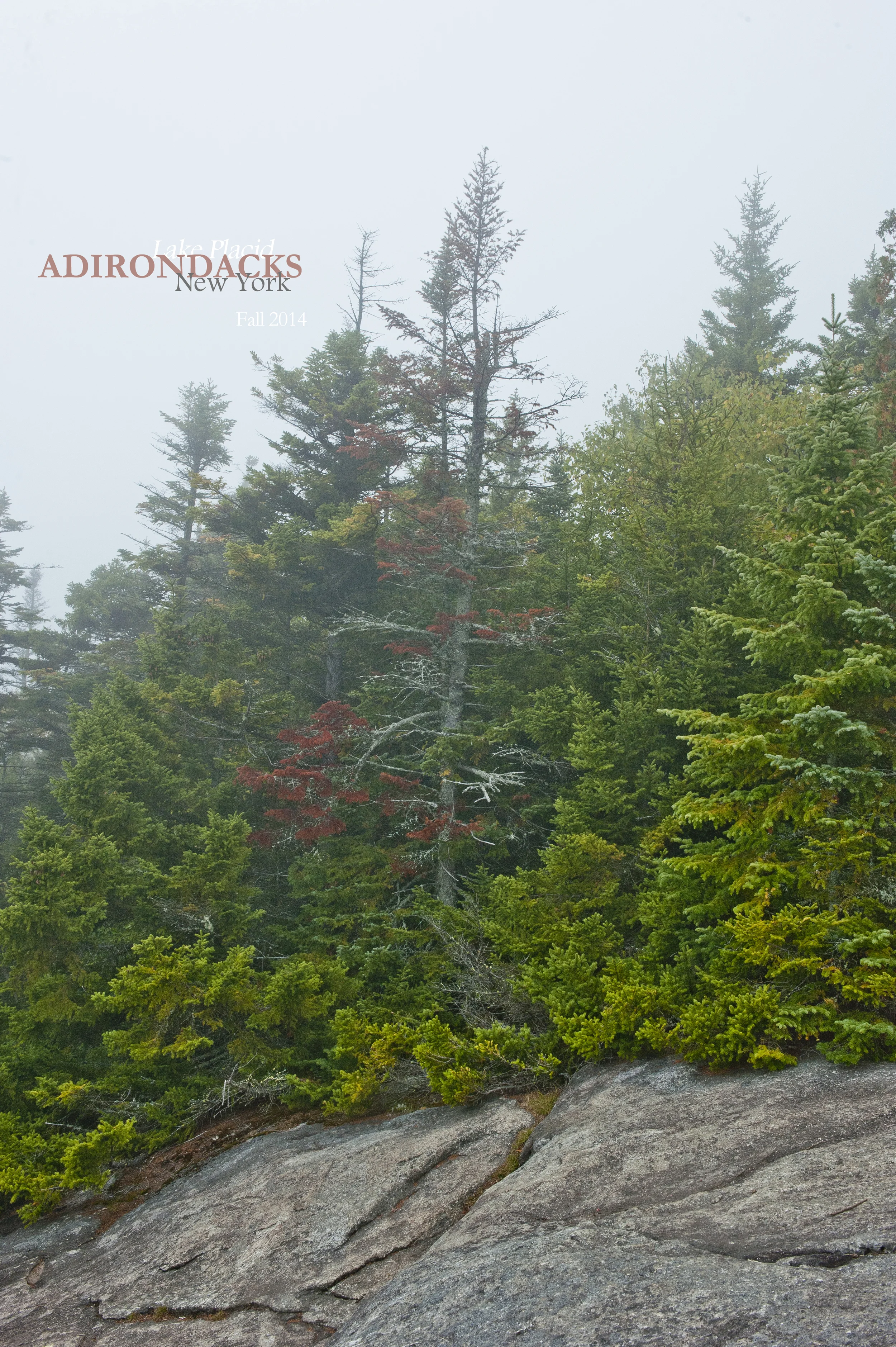 Little Green 2014 011.JPG