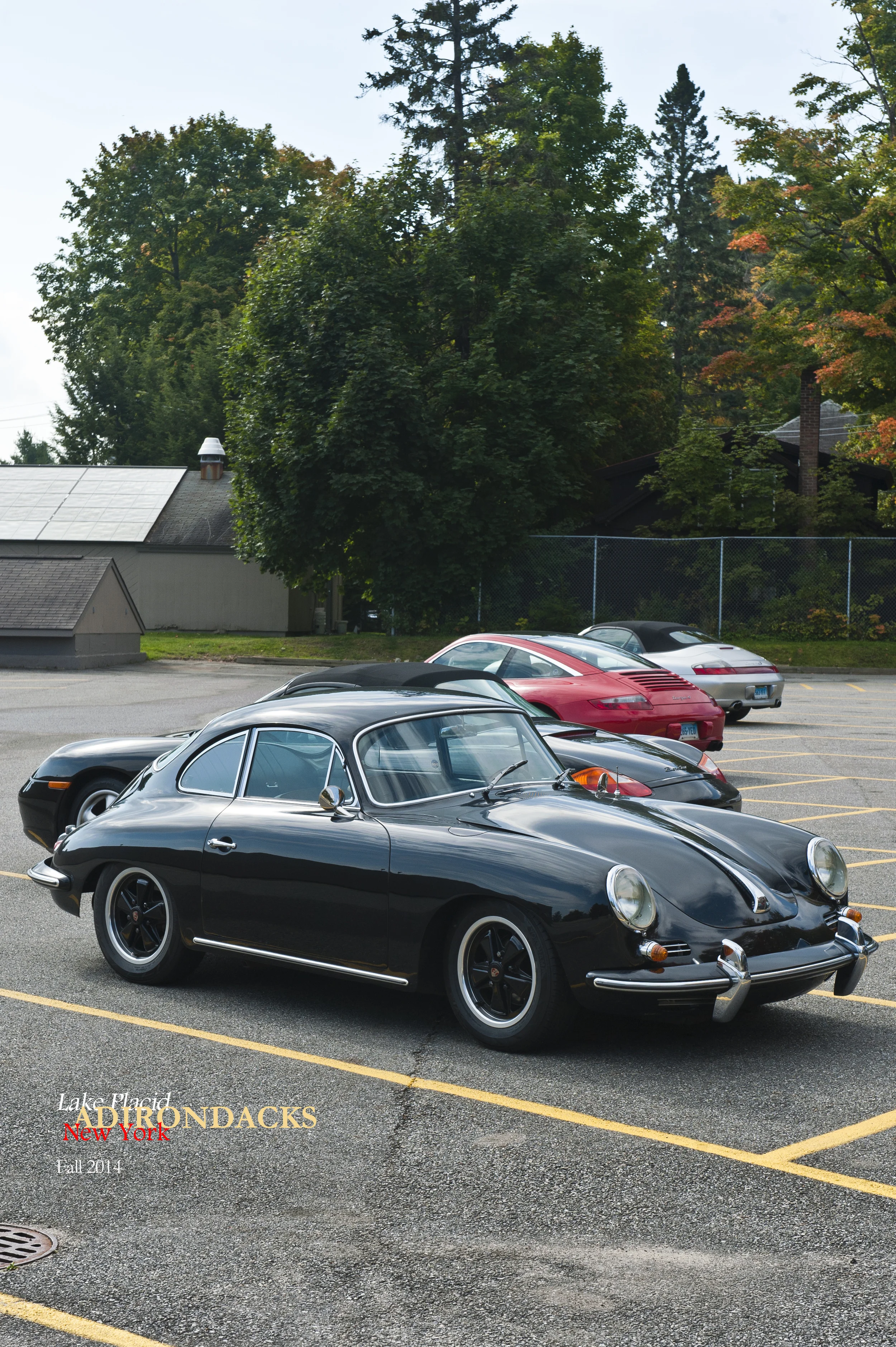 Little Green 2014 018.JPG