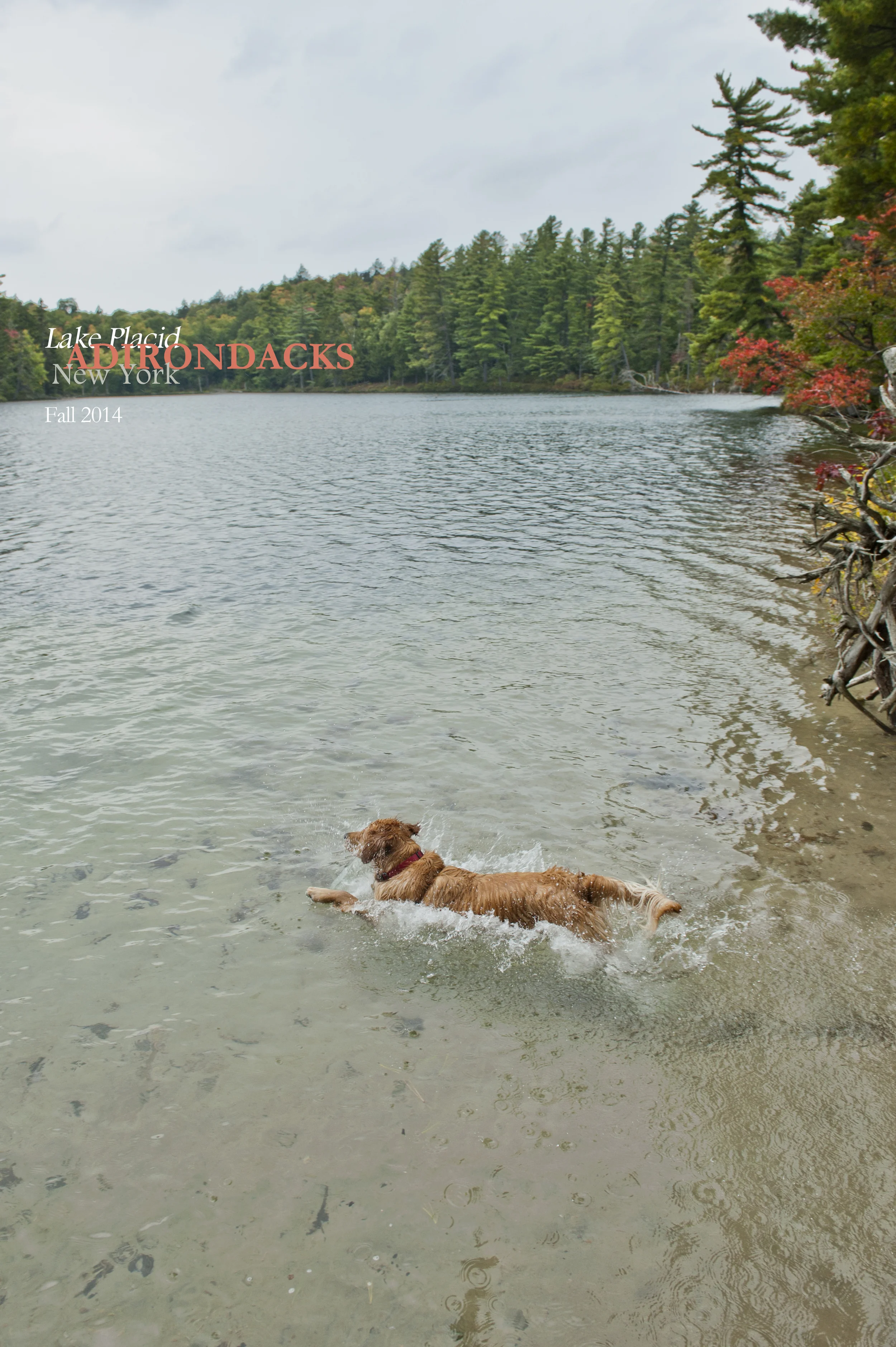 Little Green 2014 025.JPG