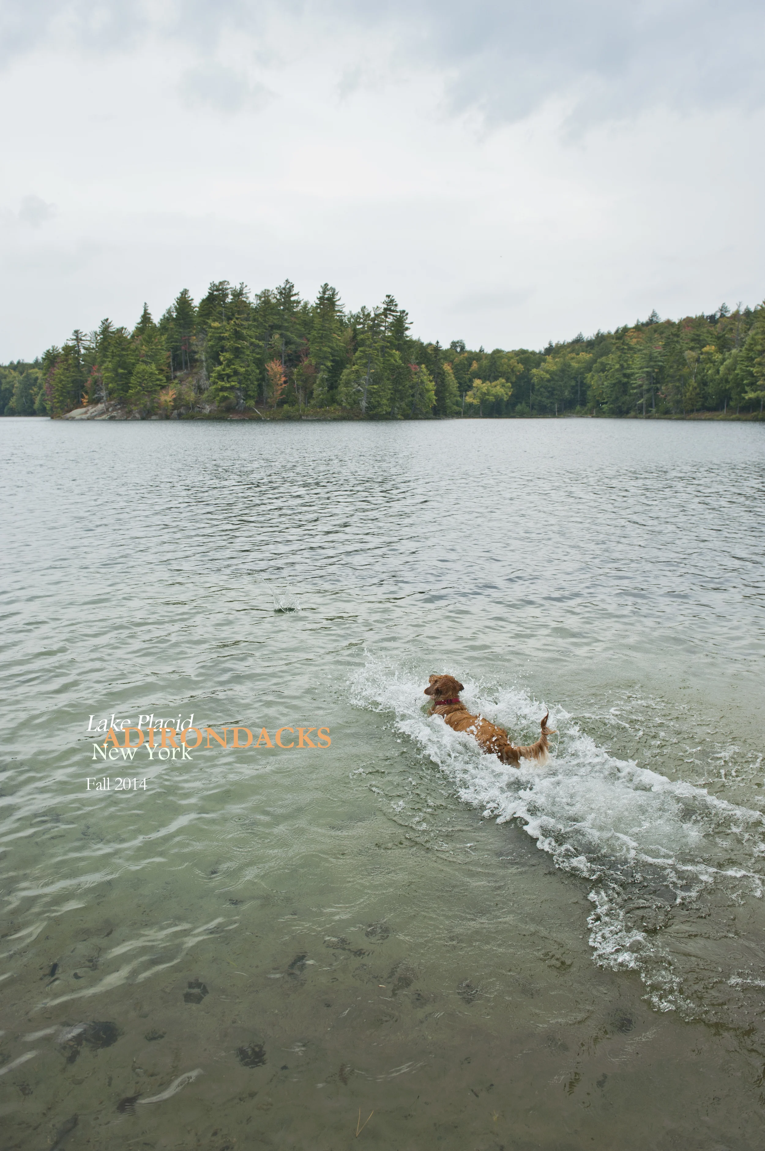 Little Green 2014 026.JPG