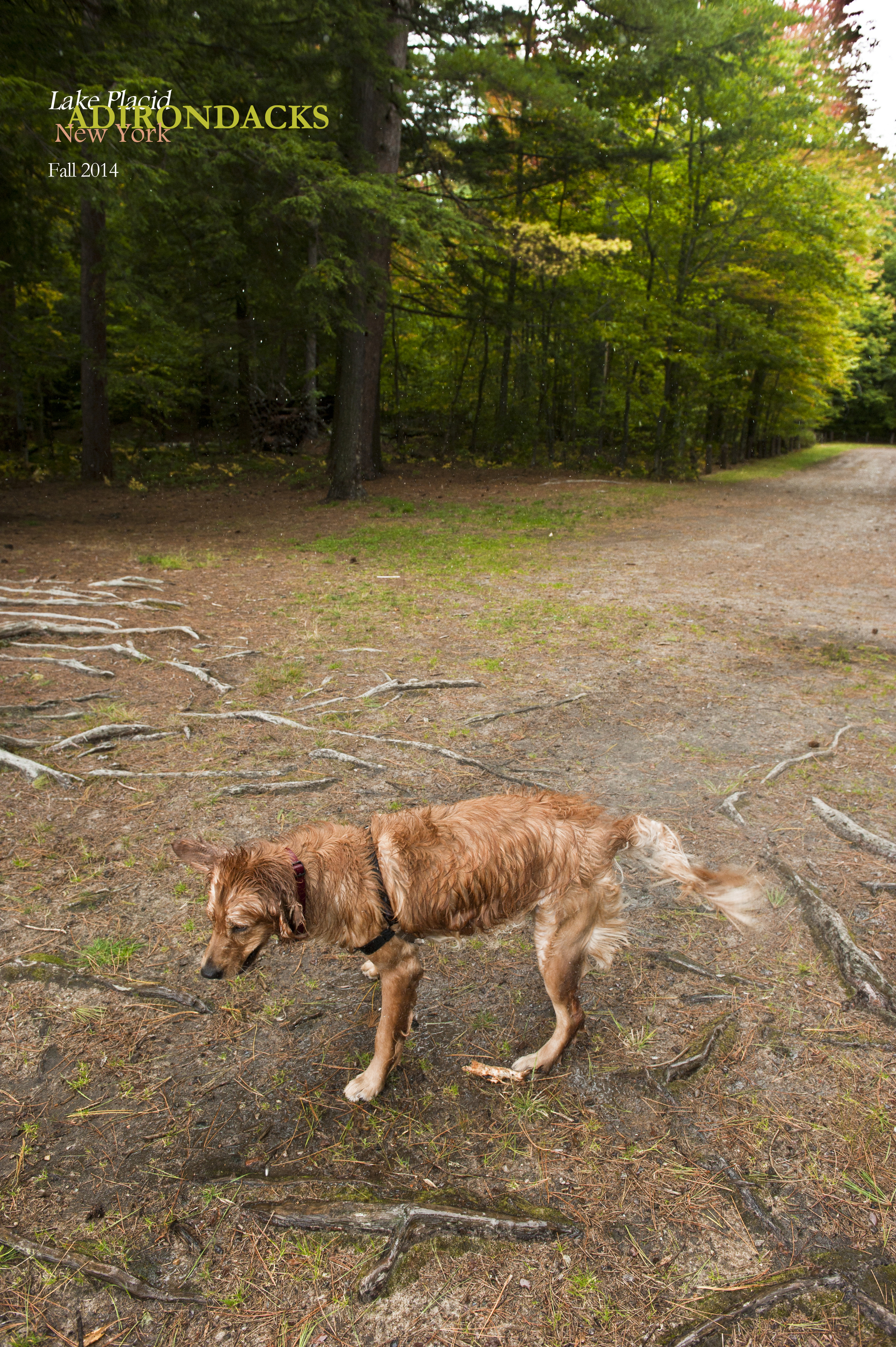 Little Green 2014 027.JPG