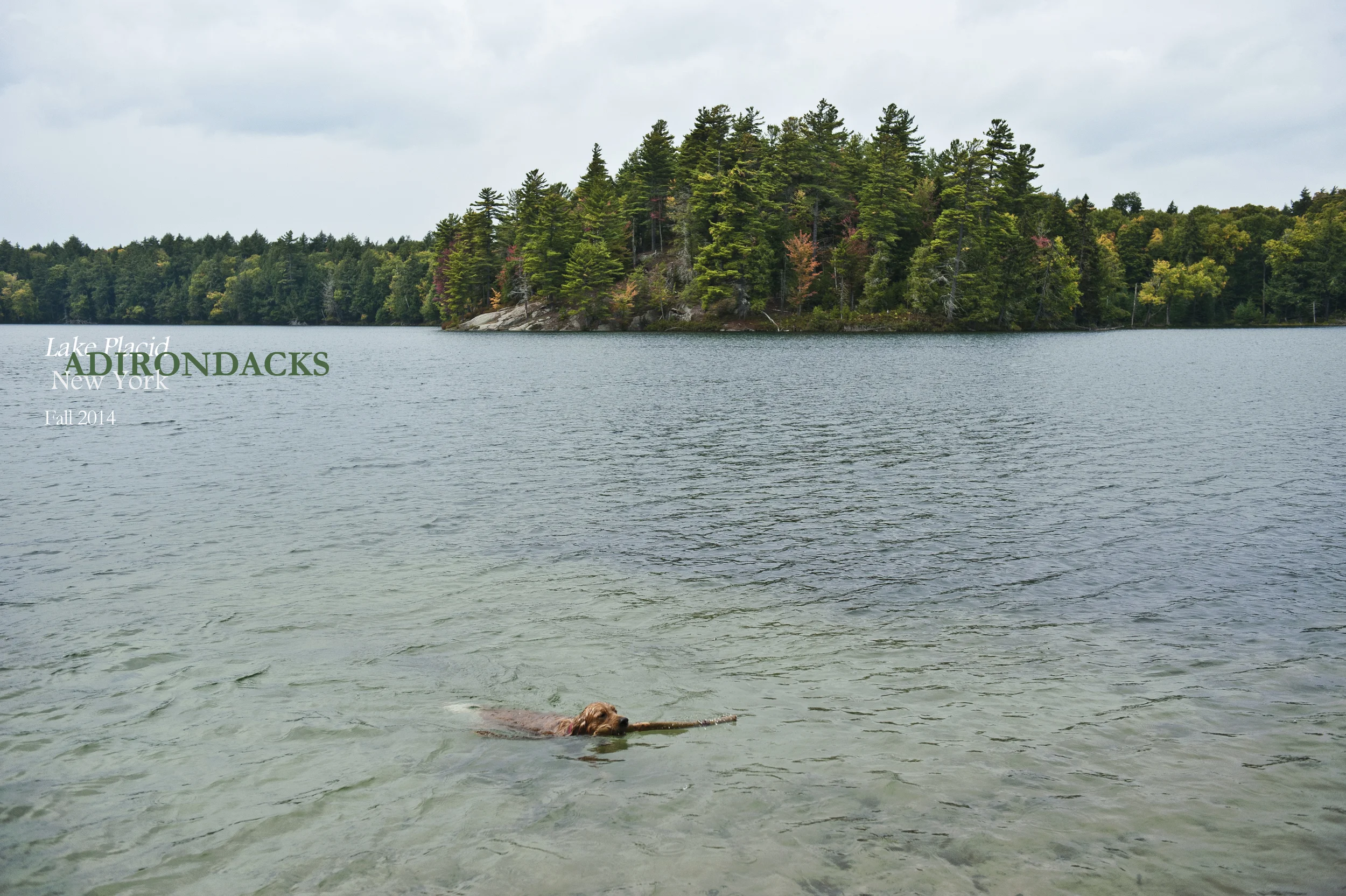 Little Green 2014 028.JPG