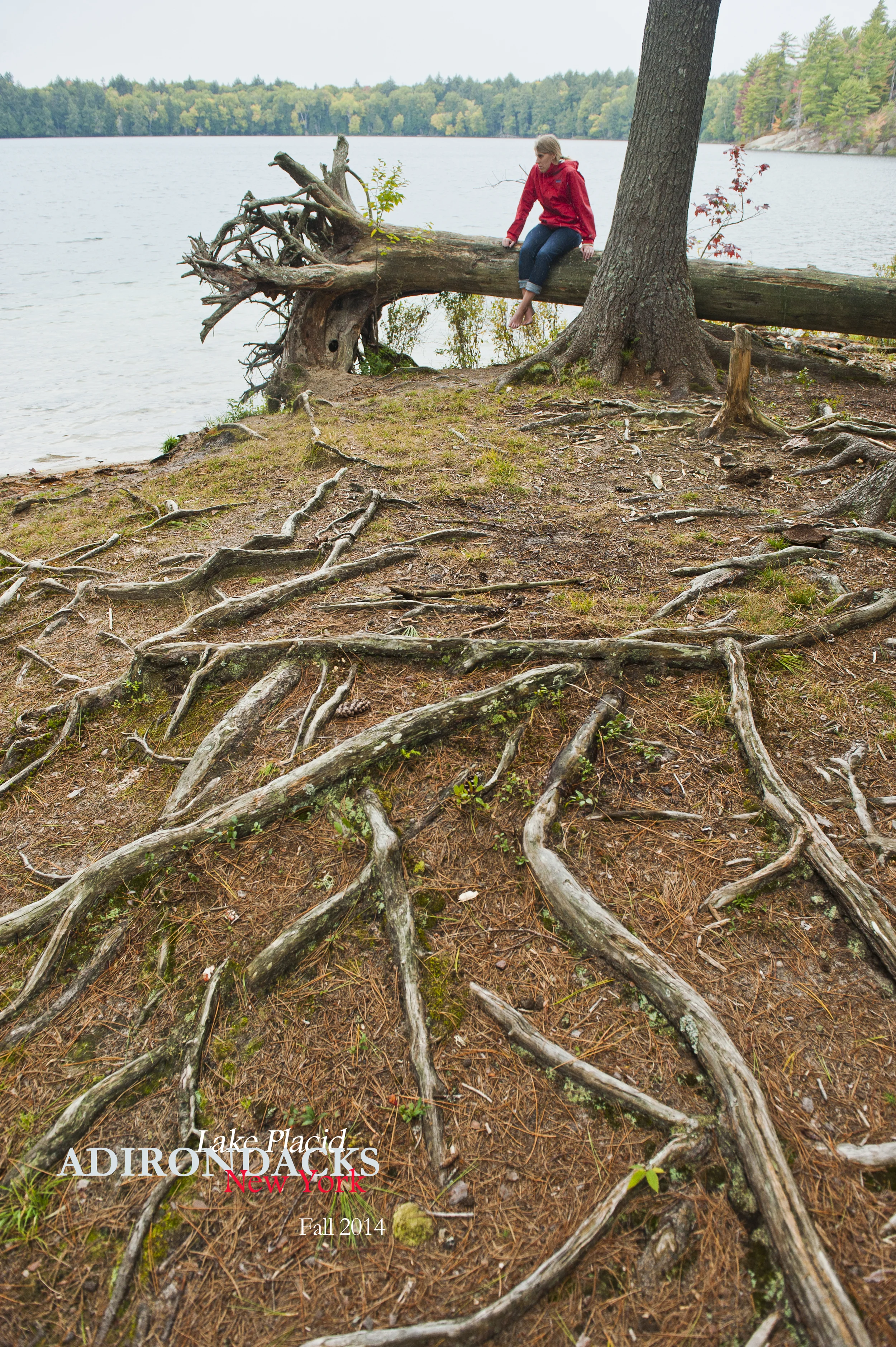 Little Green 2014 031.JPG