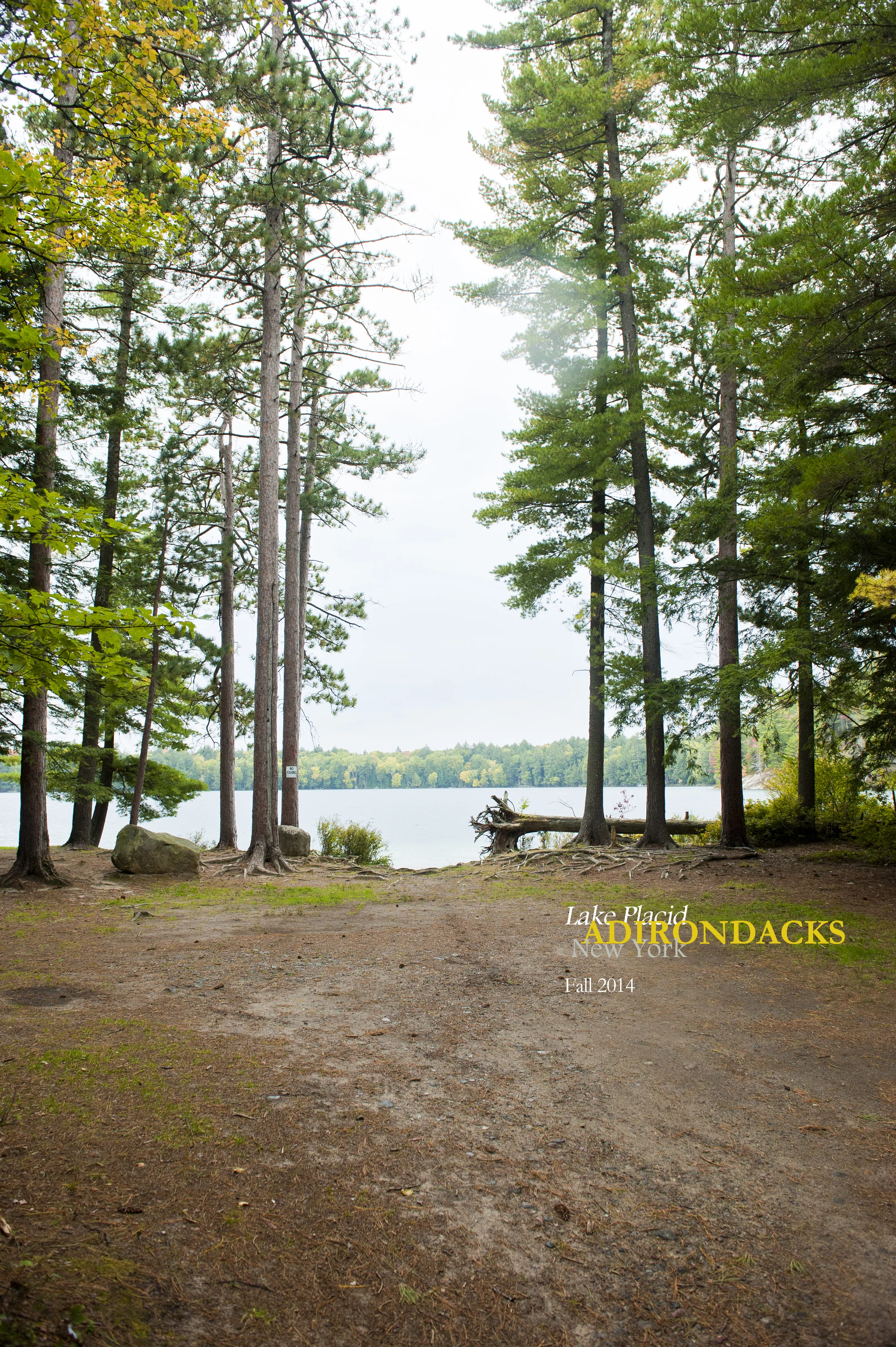 Little Green 2014 032.JPG