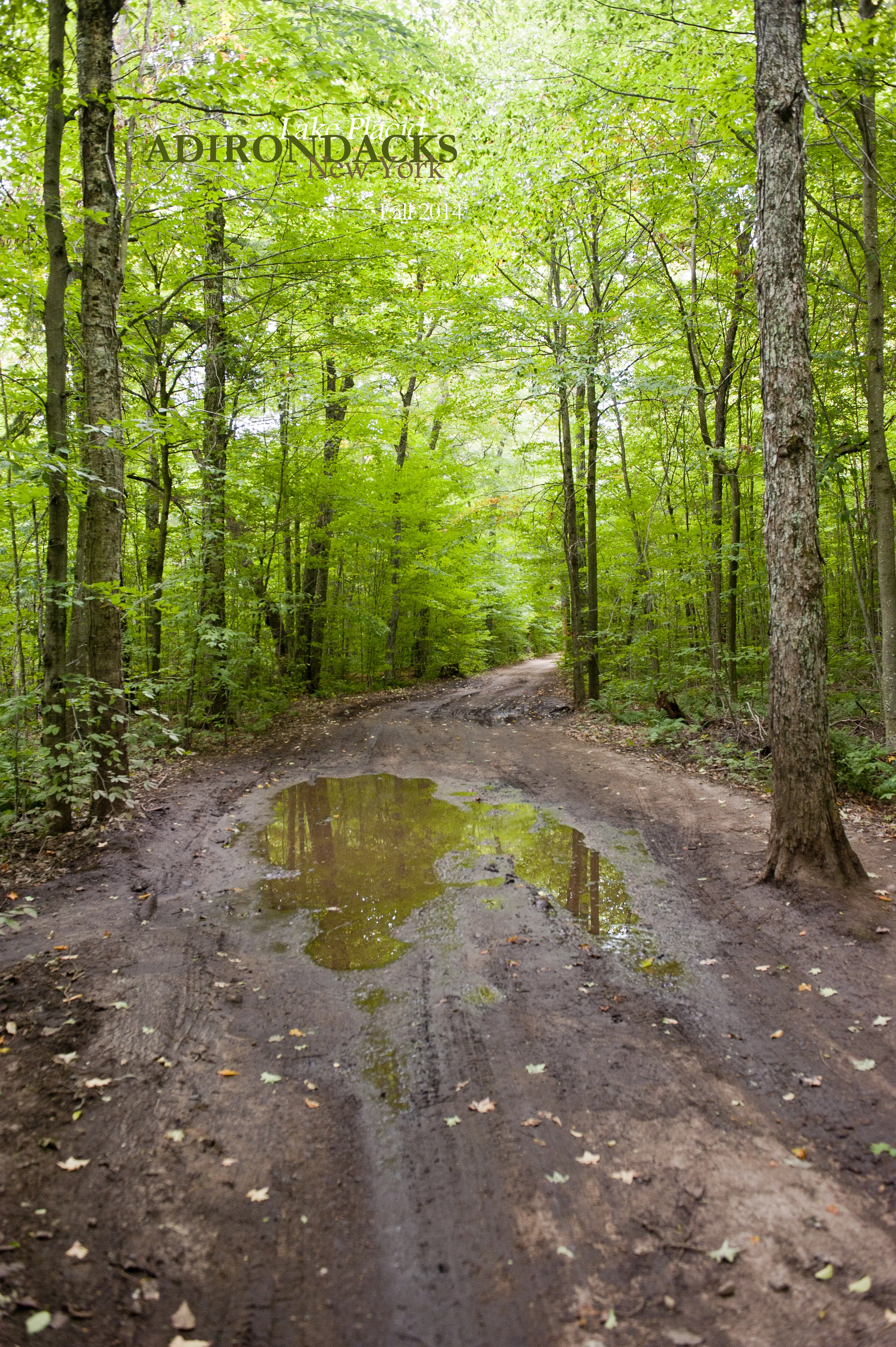 Little Green 2014 035.JPG