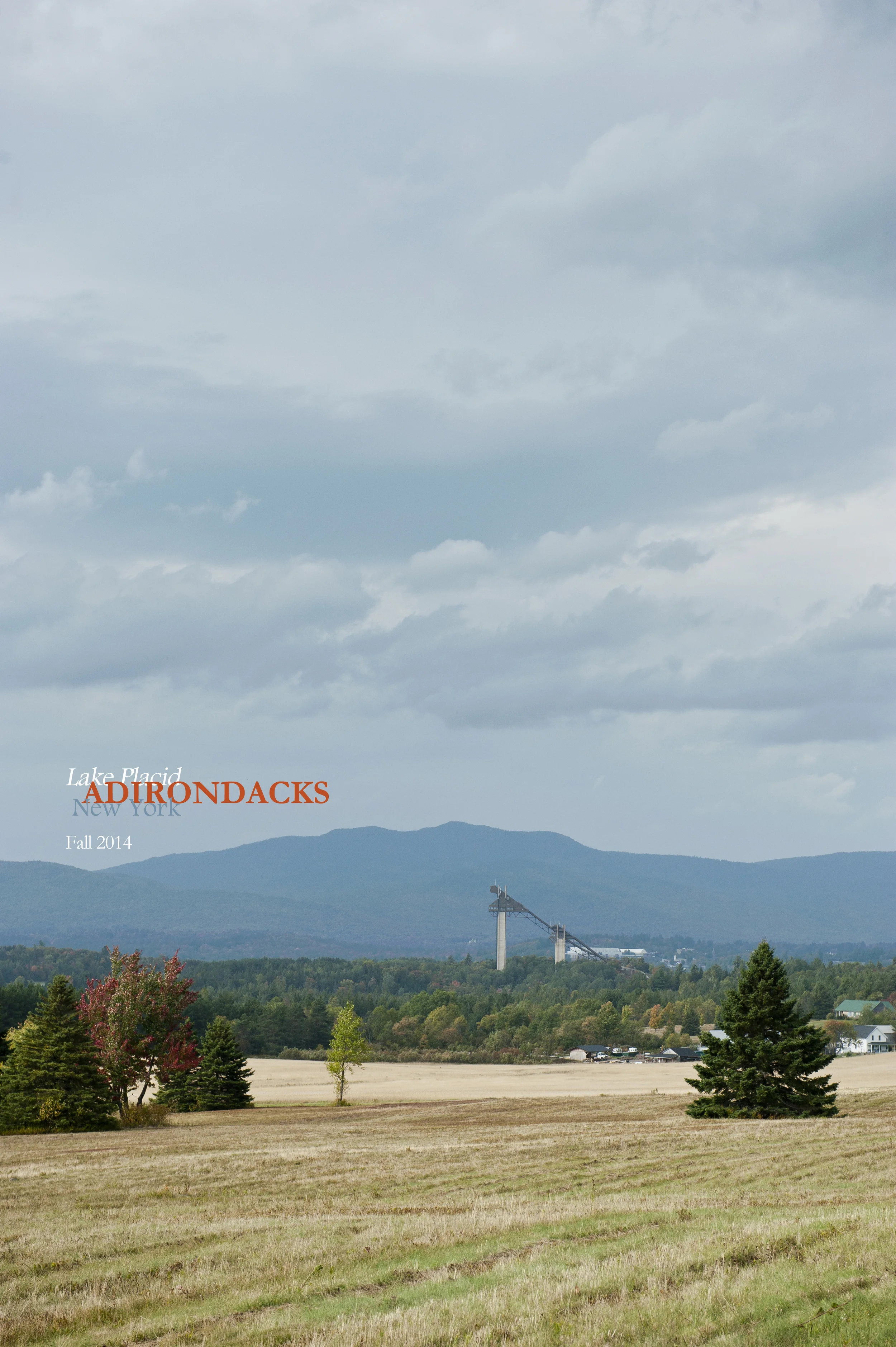 Little Green 2014 039.JPG