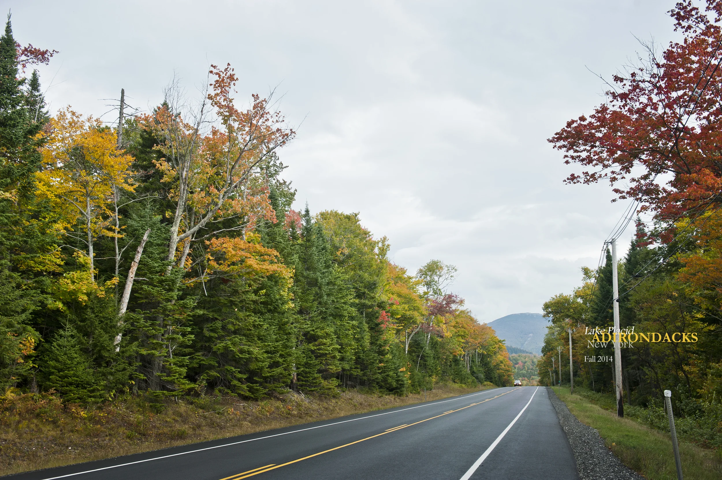 Little Green 2014 041.JPG