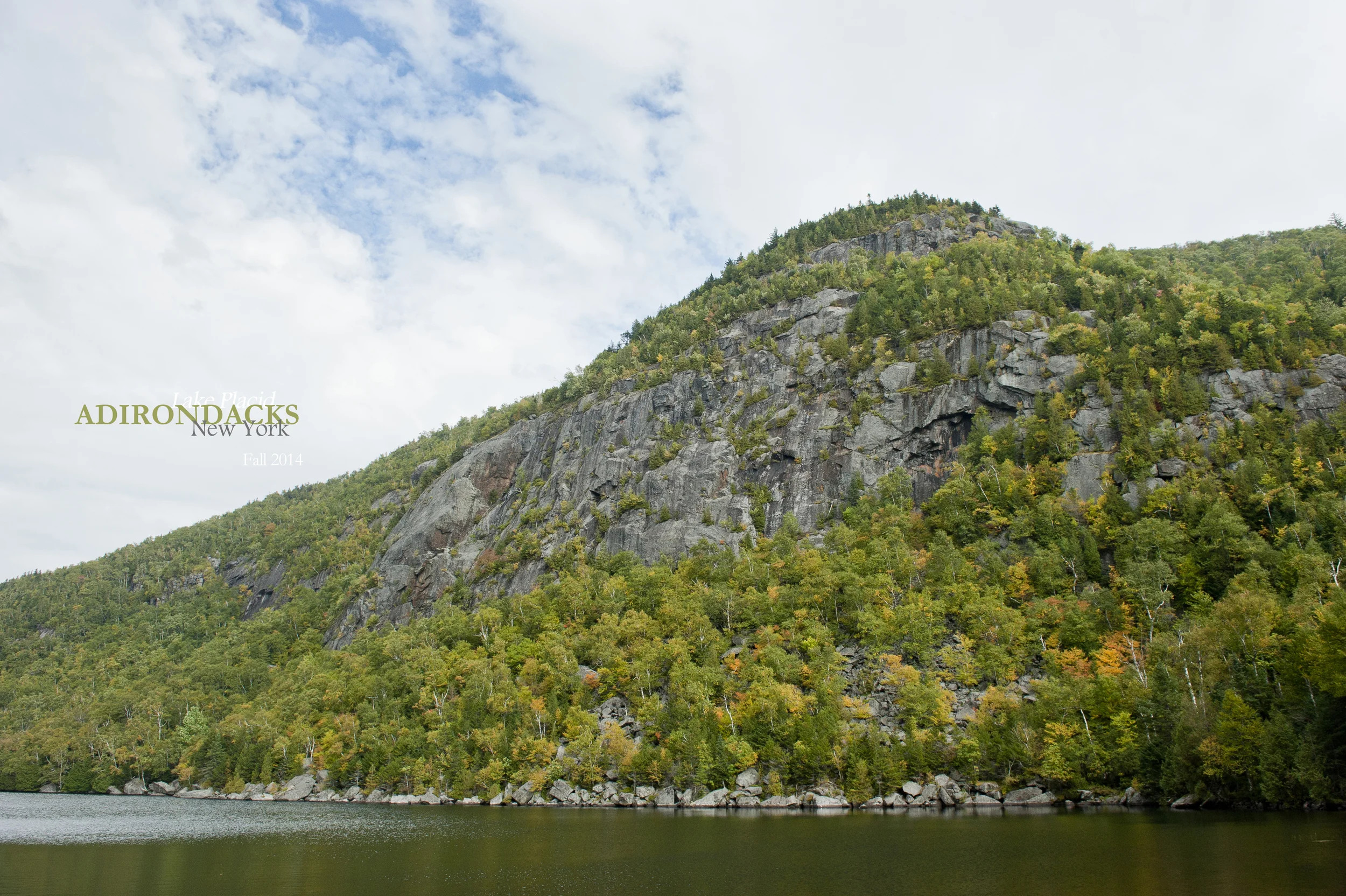 Little Green 2014 043.JPG