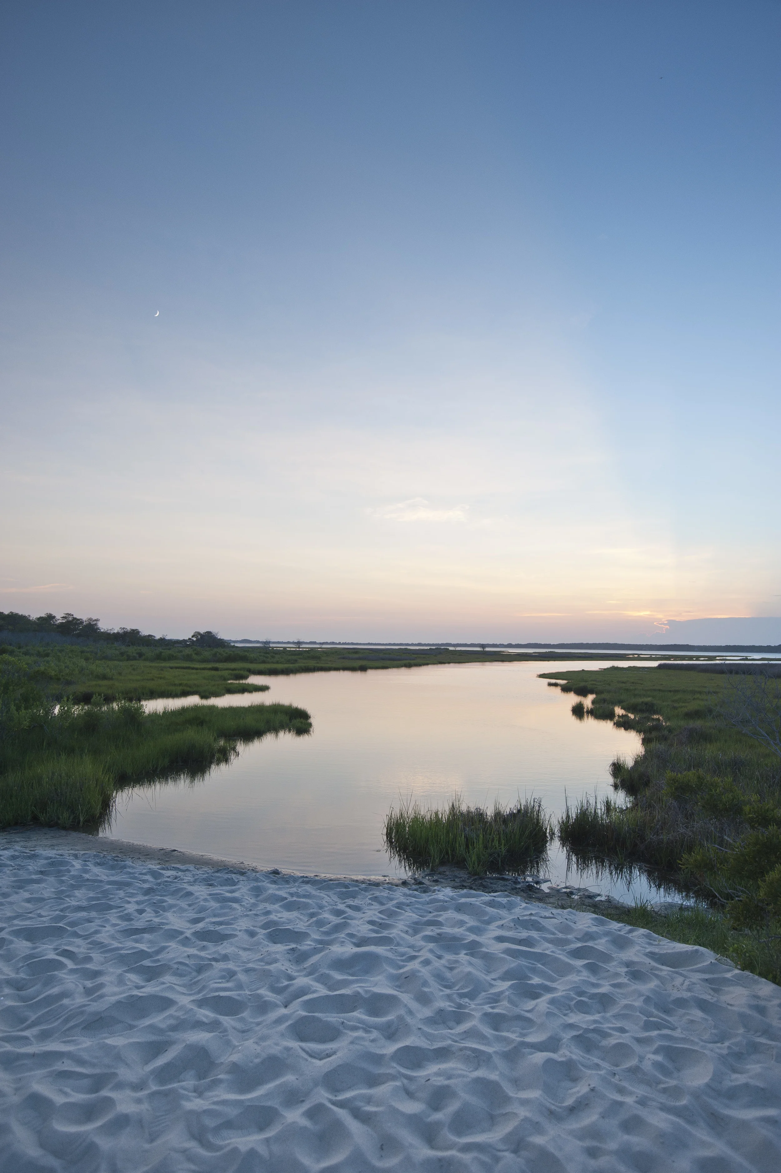 Assateague 2014002.JPG