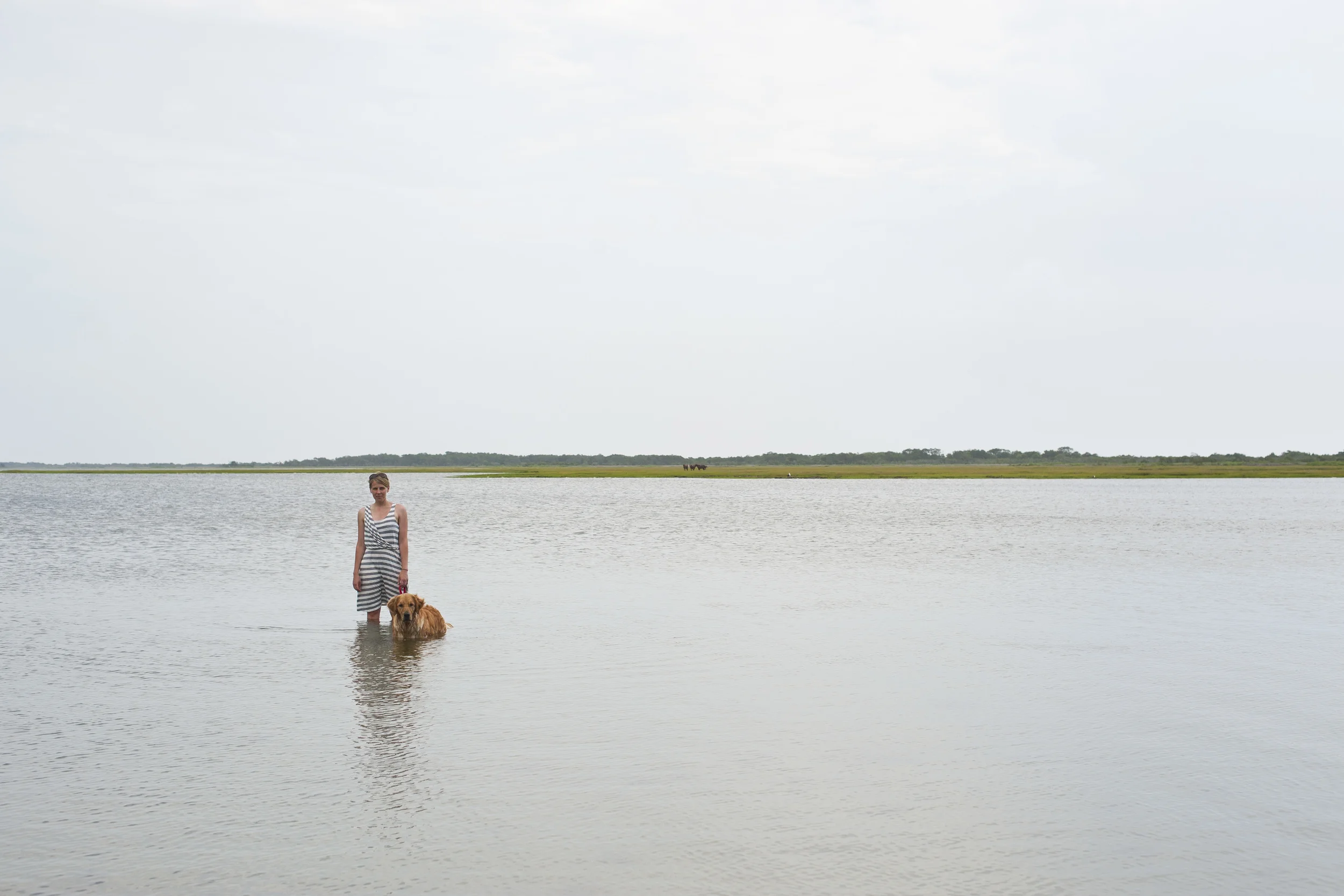 Assateague 2014054.JPG