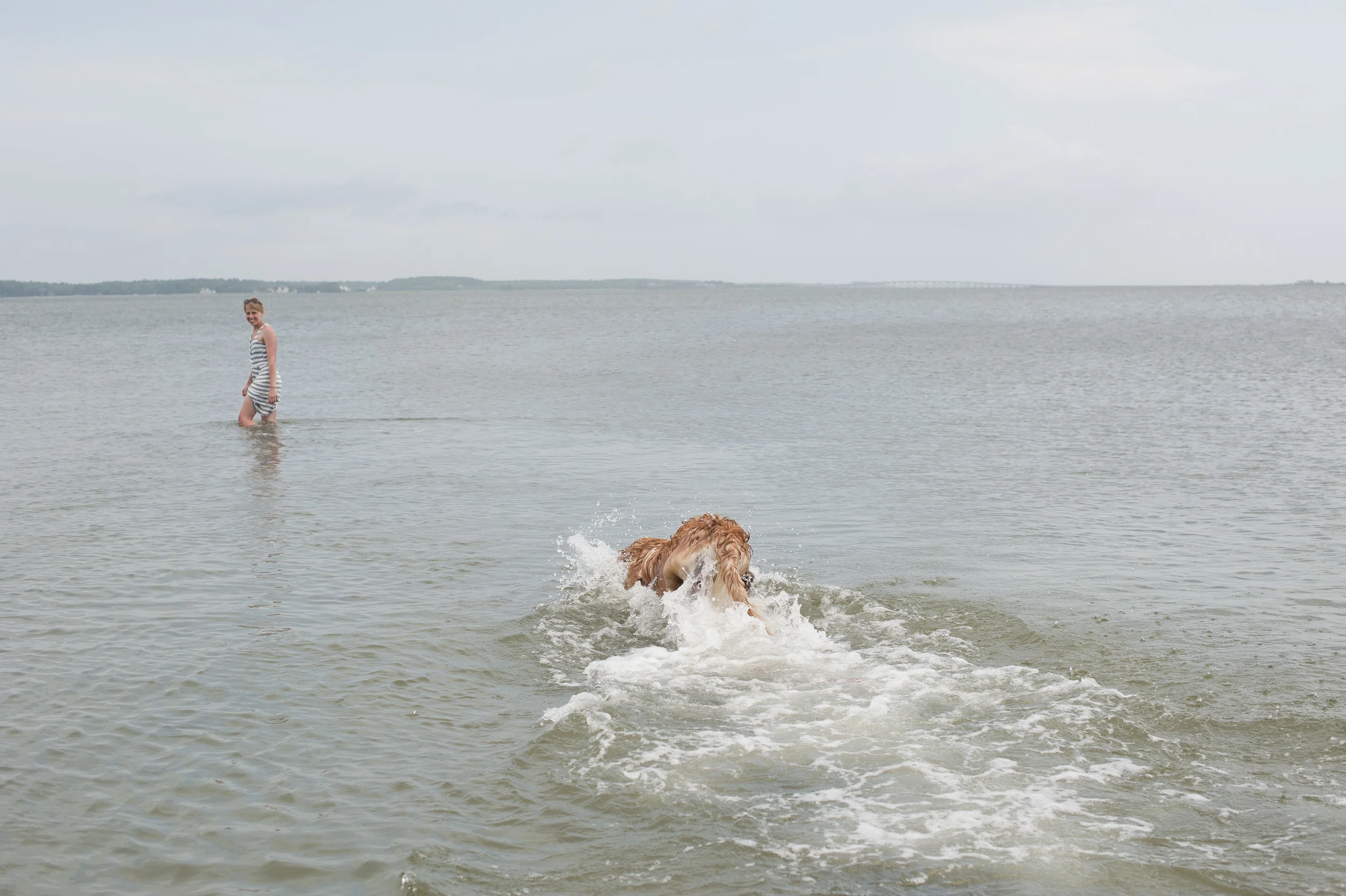 Assateague 2014068.JPG