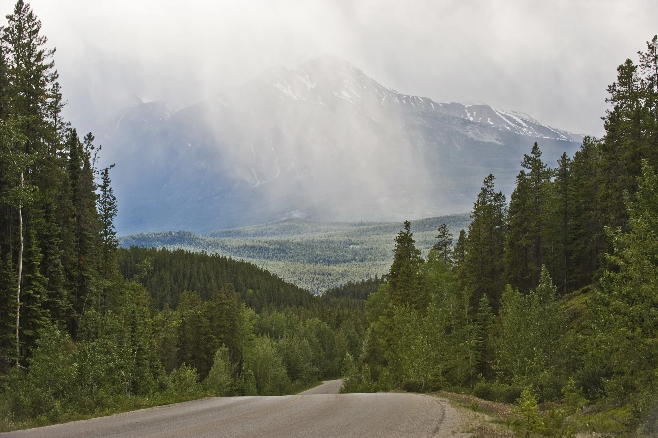 305a MIF_6415285.jpg