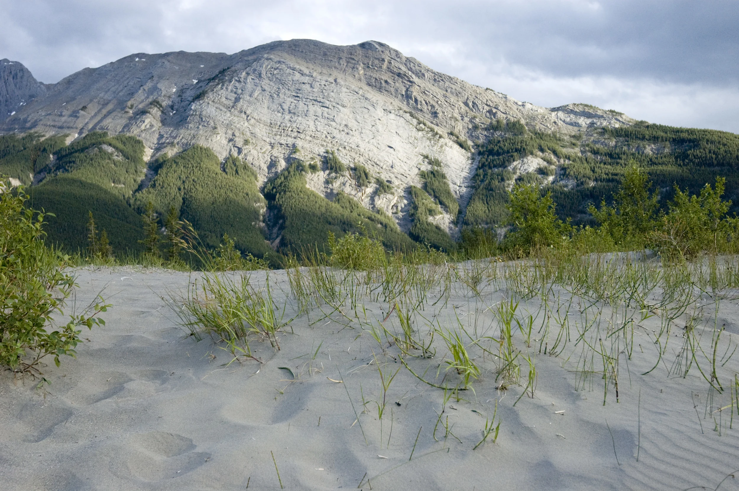 317a DSC_0076lady014.jpg