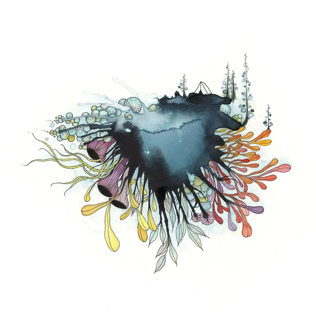 "sea creatures"