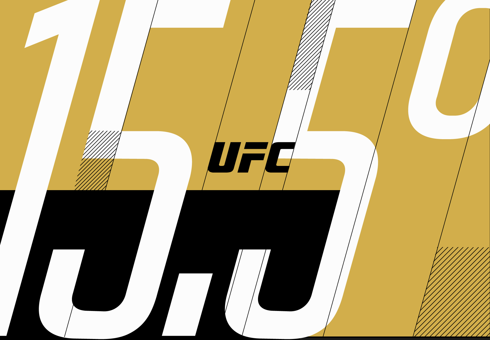 UFCSans_case_07.png
