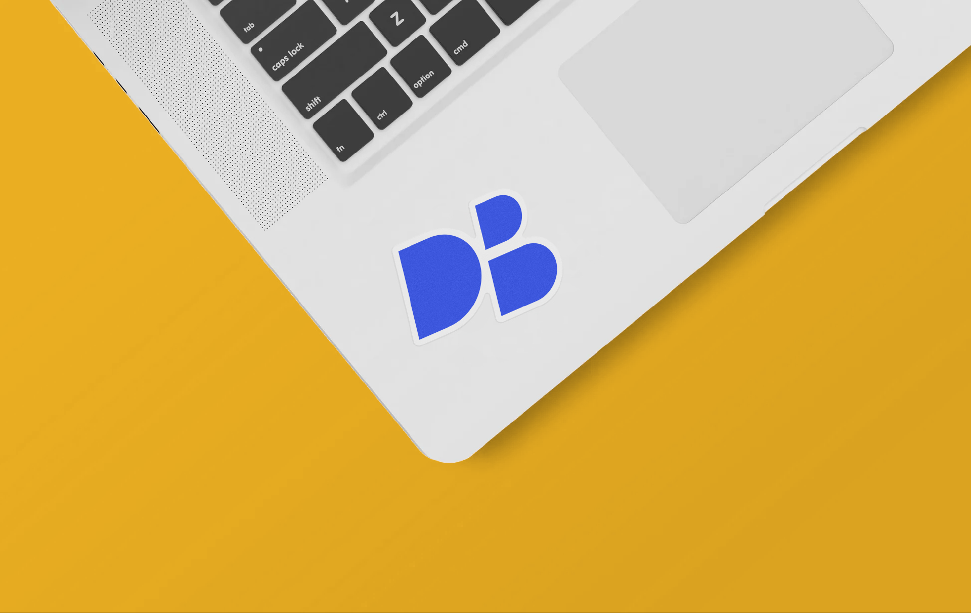 ddbh_case_-05.png