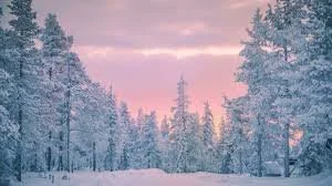 Walking the Path of Stillness: A Winter's Visioning Earth Ways Yoga Retreat SOLD OUT