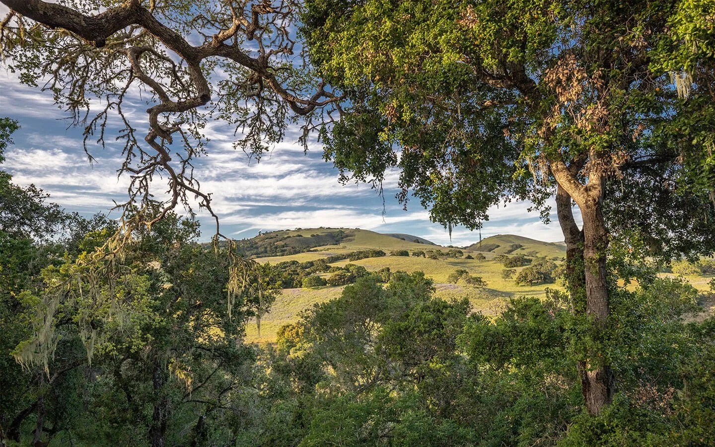 Rising Up, A Spring Equinox Retreat 2024