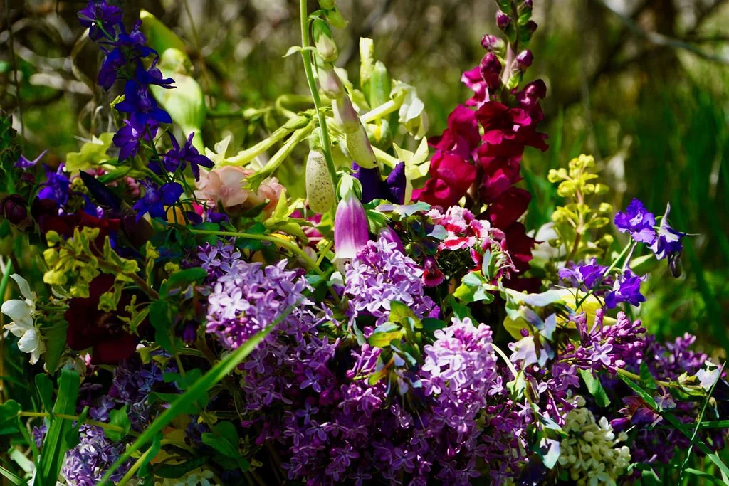 Spring's Hope, An Earth Ways Yoga Retreat for your New Beginning 