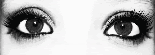 image1.gif