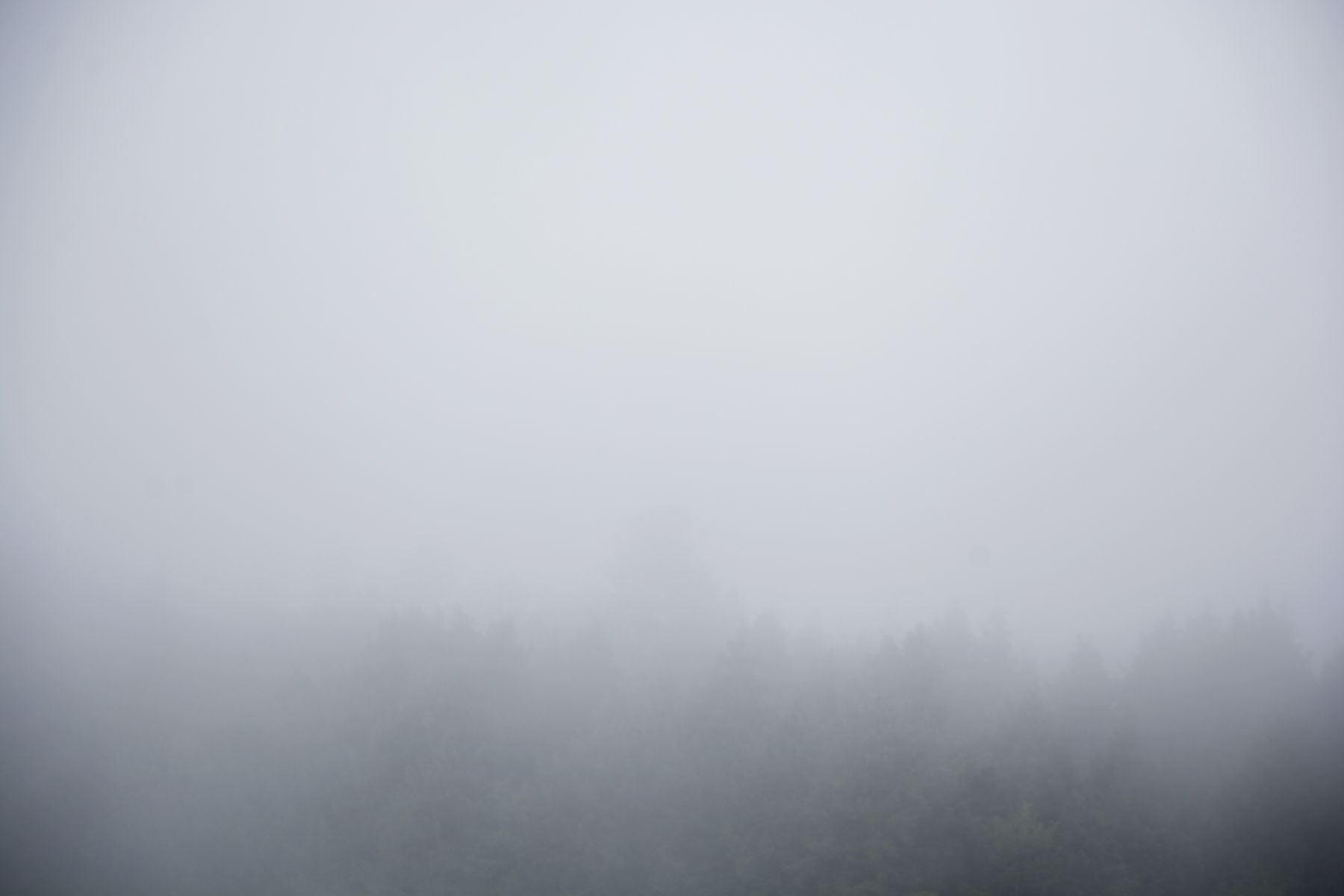 fog_E159514.jpg