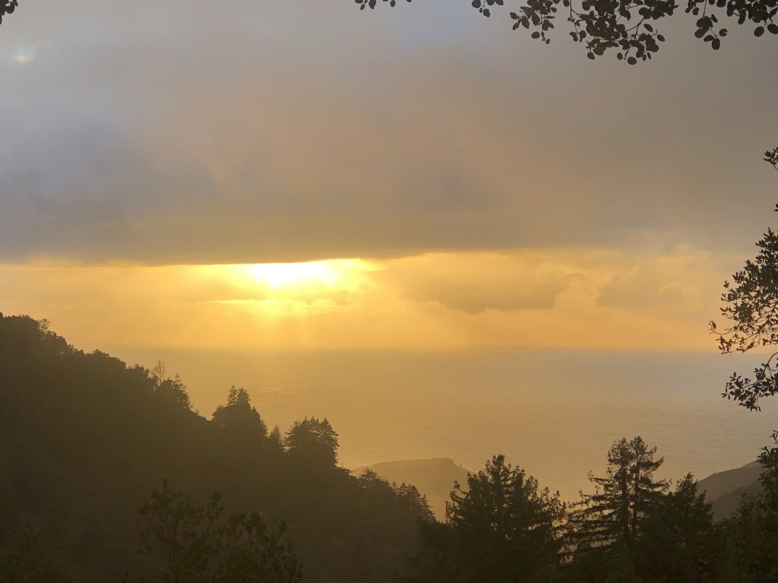 7D729F0D-416C-400E-B751-13485B7CF549.jpeg