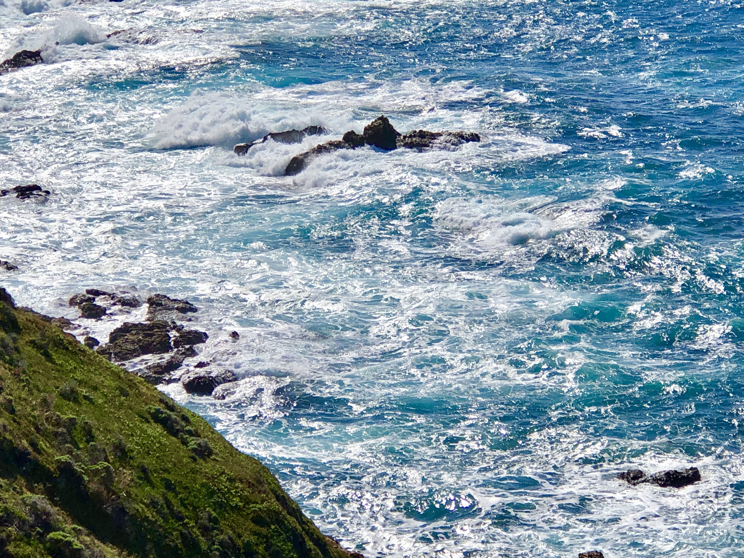 C7C16340-AEFF-4940-B383-55B769A5AD83.jpeg