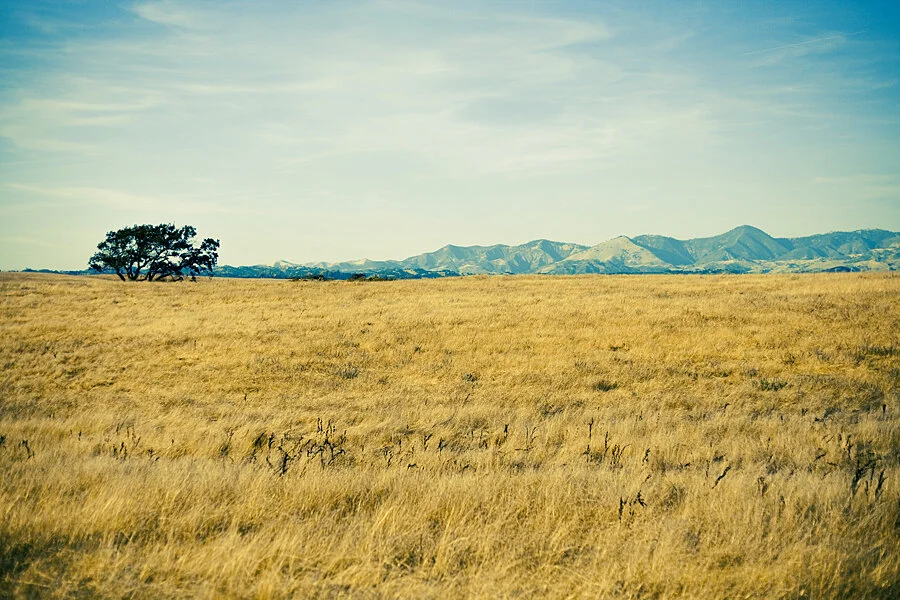   Solvang, CA, 2009  