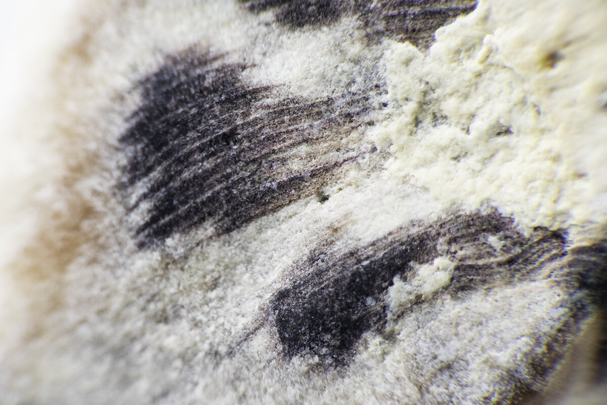 Divine Creation (Series) - #2