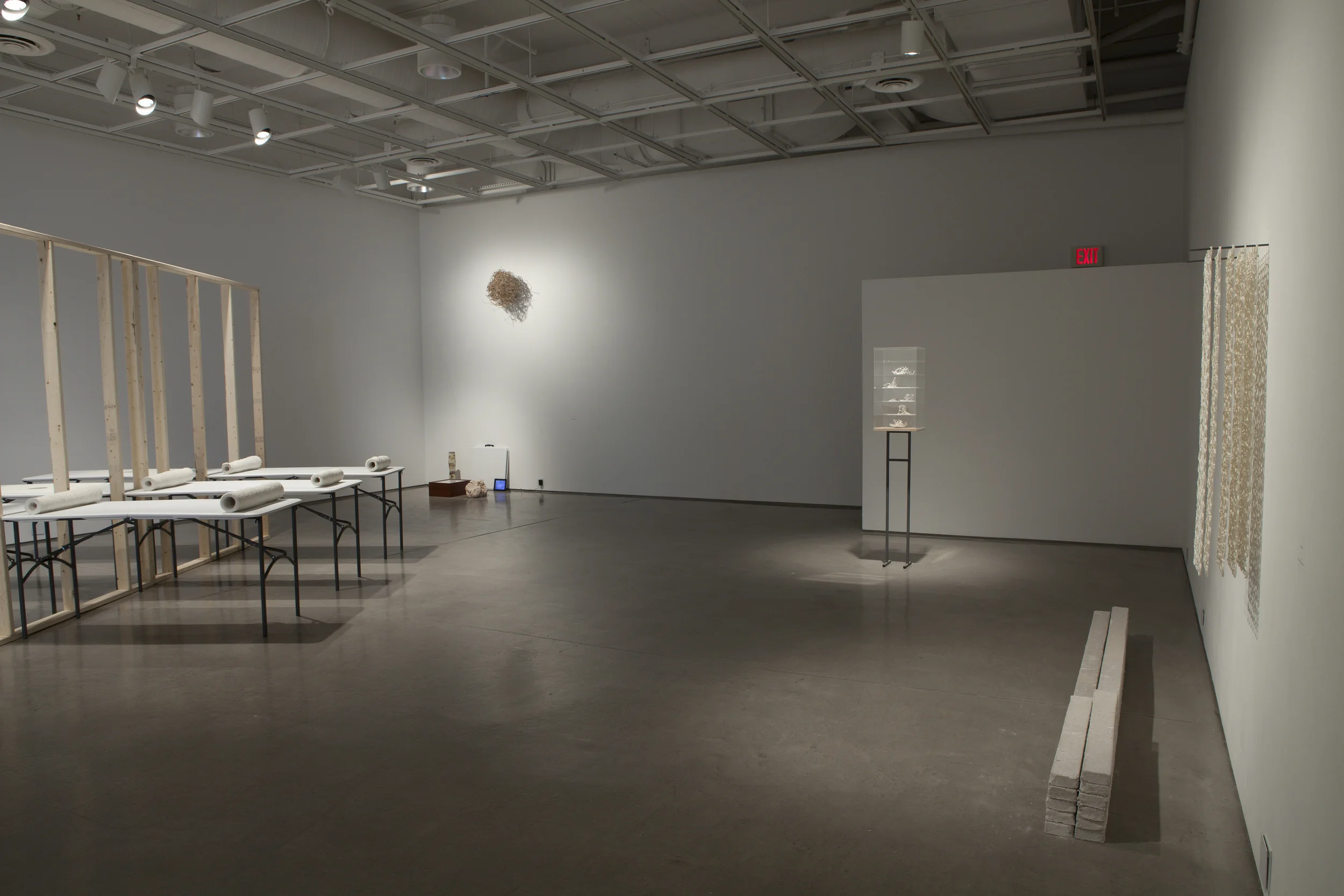 | Taking Form | Graduate Thesis Exhibition, Fosdick-Nelson Gallery, Alfred University. May, 2013.
