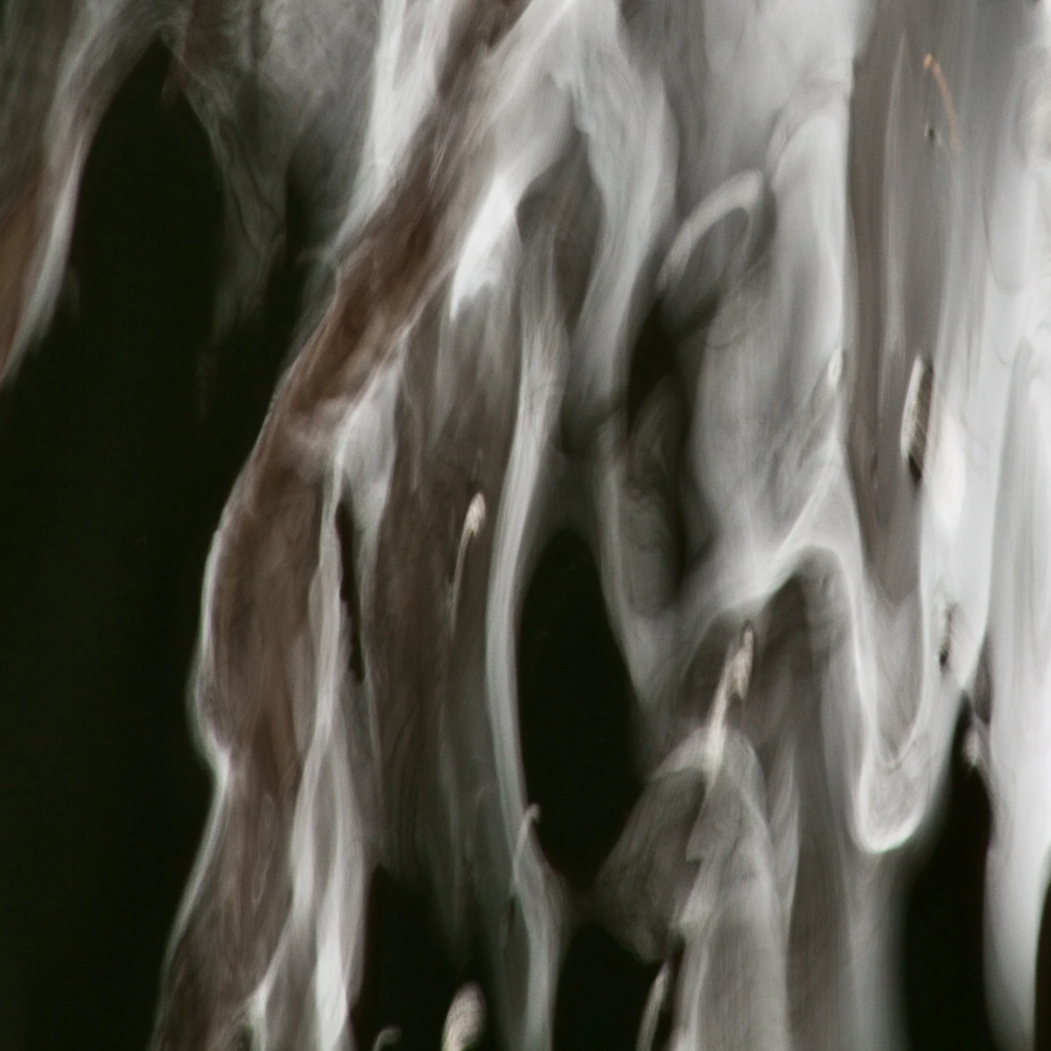 glimpse-6.jpg
