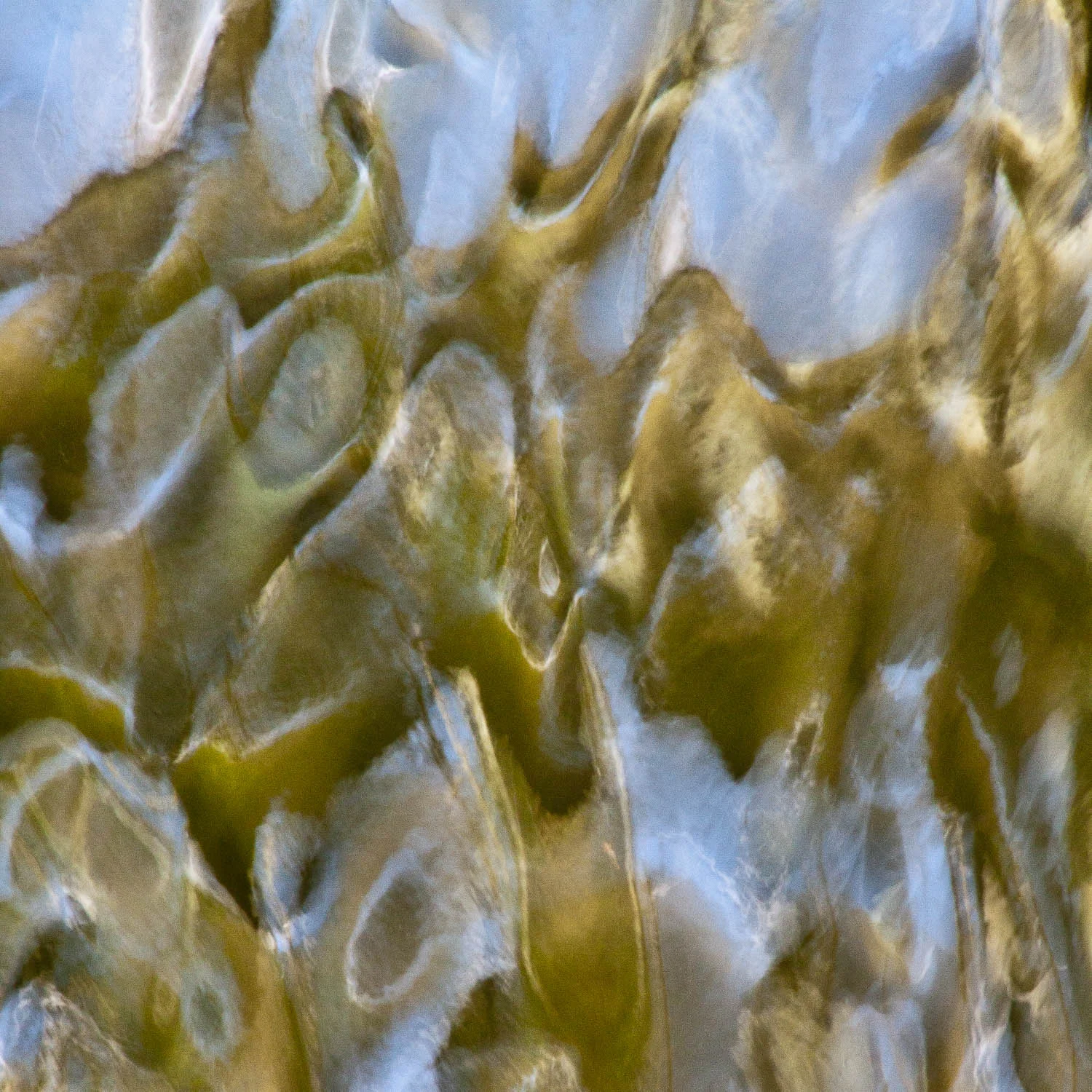glimpse-16.jpg