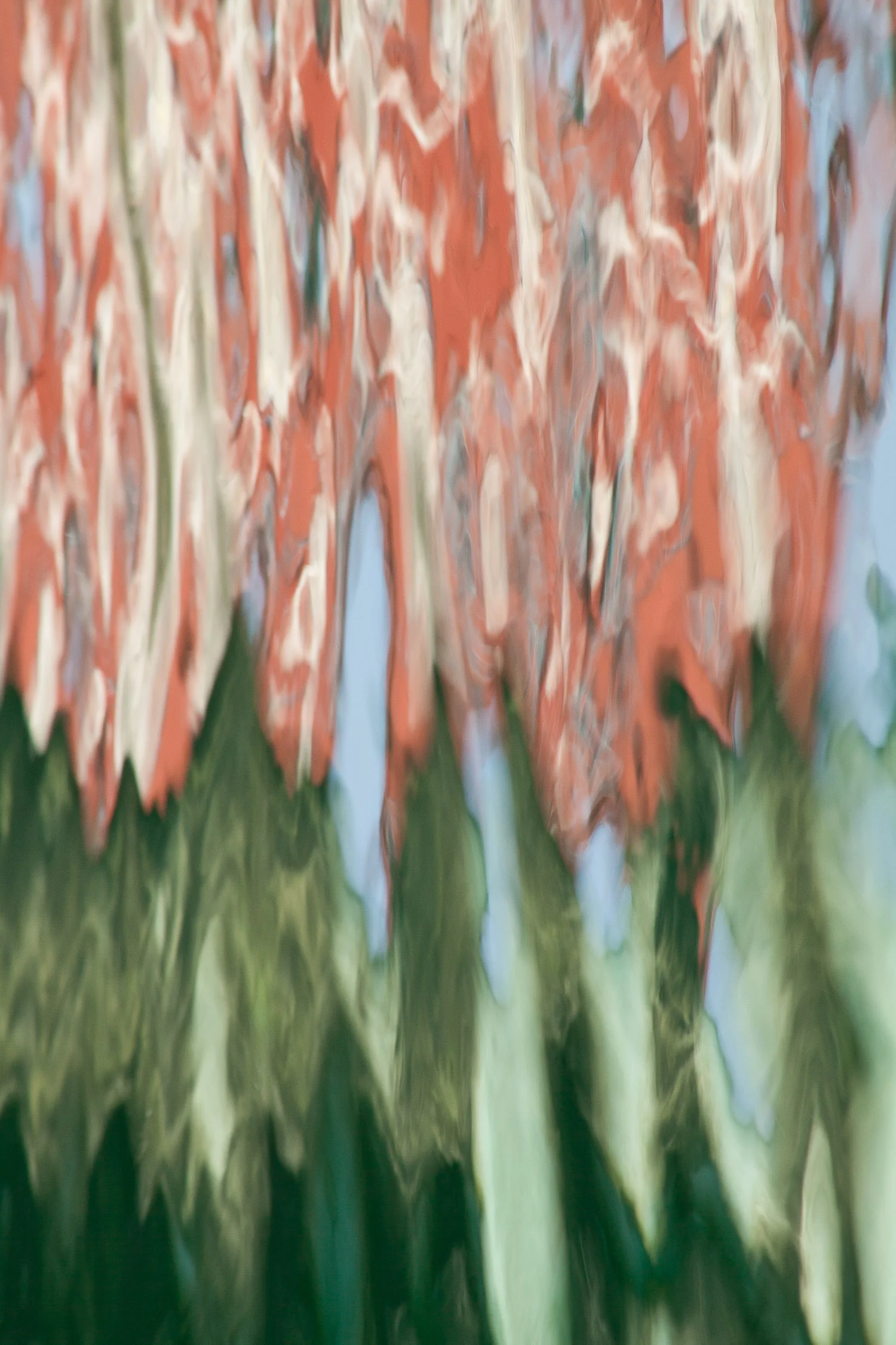 glimpse-18.jpg