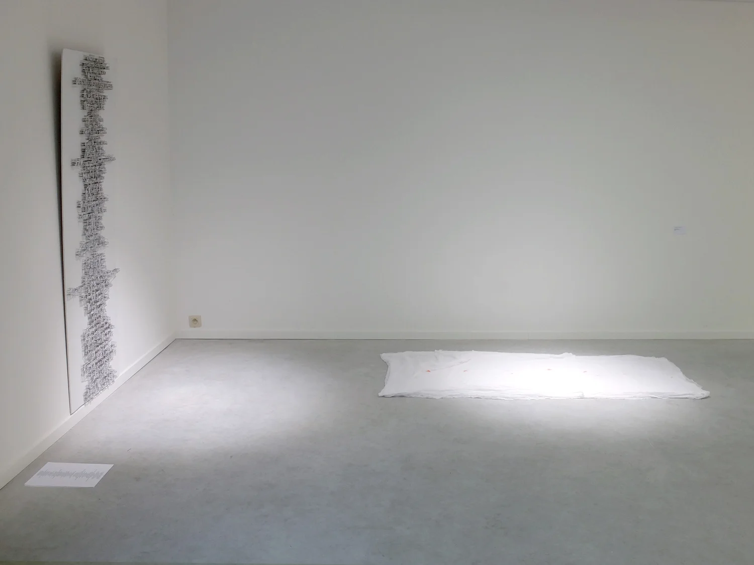 I am chromosome why , exhibition view, Galerie 11B, January 2015