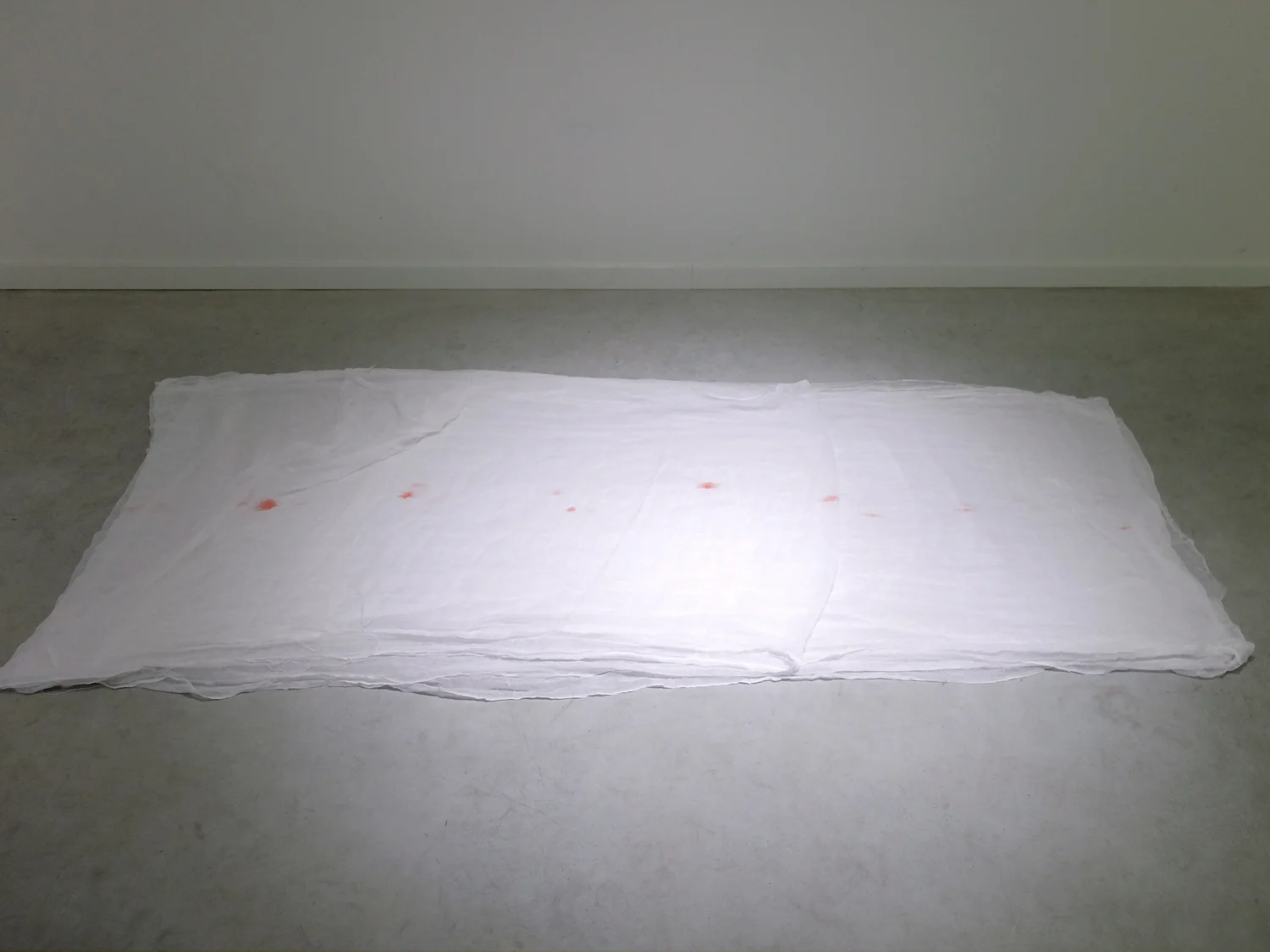 I remember everything so far, eosin on gauze, dimensions variable, January 2015