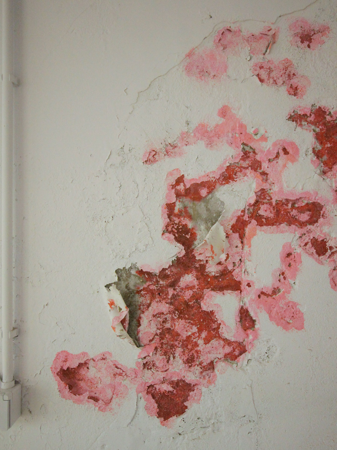I don't read the news anymore, detail. Photograph by Léa Belooussovitch.