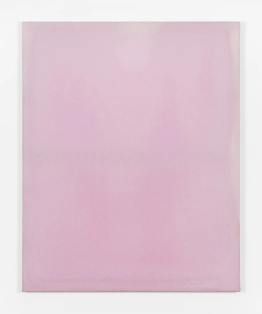 Unruly painting / Peinture indisciplinée (January 2019 - PRESENT) by MUESLI collective , chemical indicator on cotton, 80 x 120 cm Photograph: Gilles Ribero