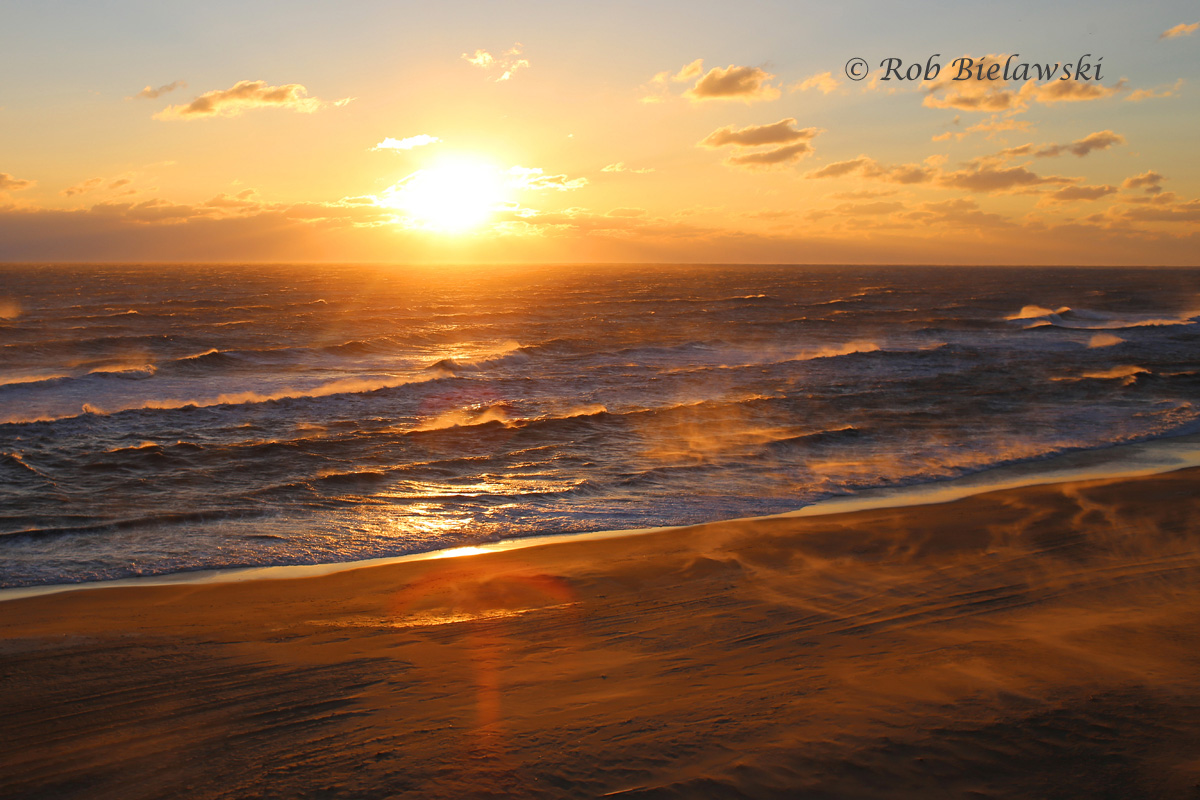 Sunday morning's sunrise was even grander than Saturday's from the hotel room, as 30+ mph winds whipped up the ocean waves and sent sand blowing in all directions!