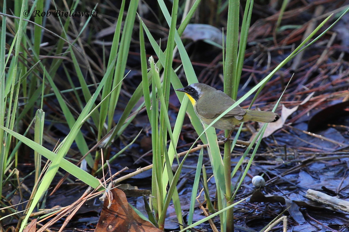 20130414_2557.jpg