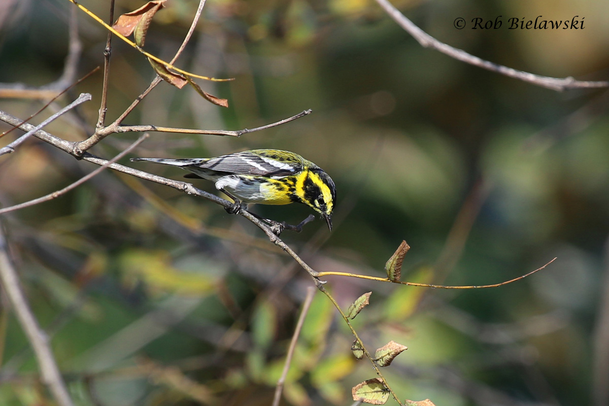 20130317_1575.jpg