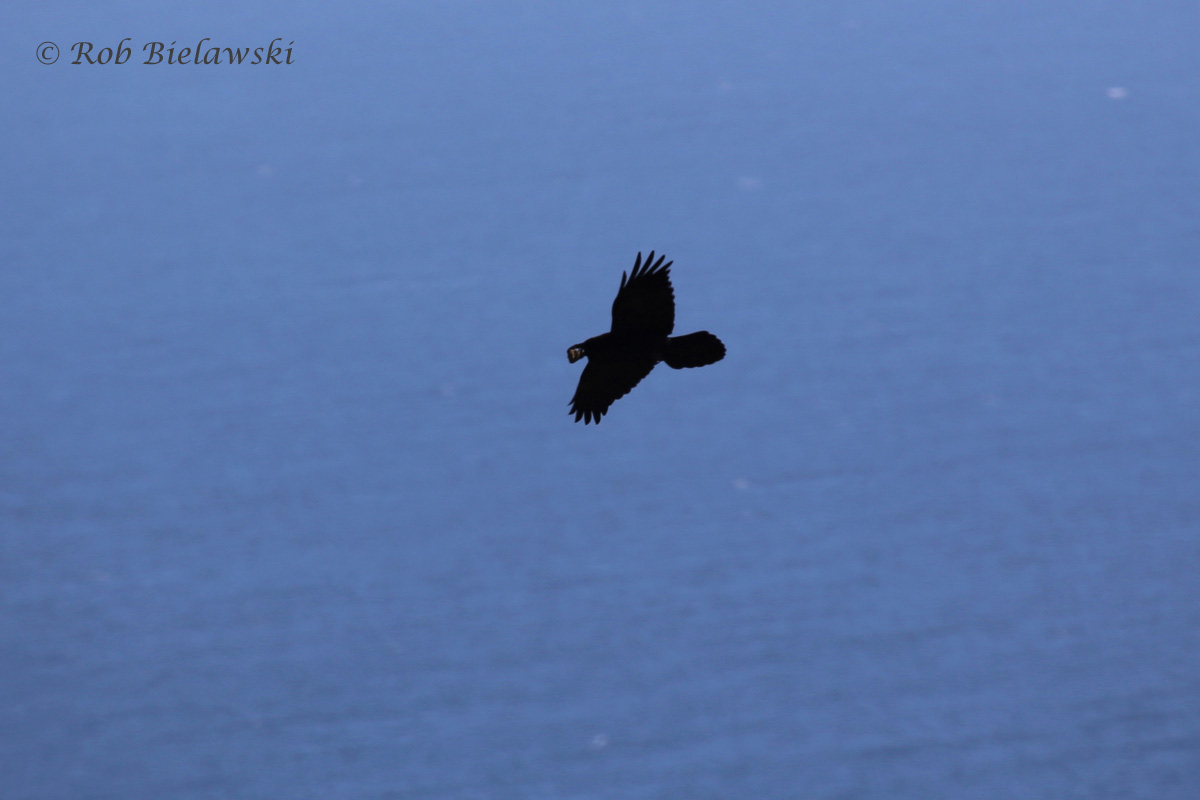 20130312_0753.jpg