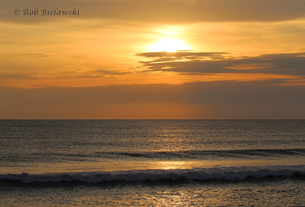   A beautiful sunrise from Little Island Pier in Virginia Beach on Saturday morning!  